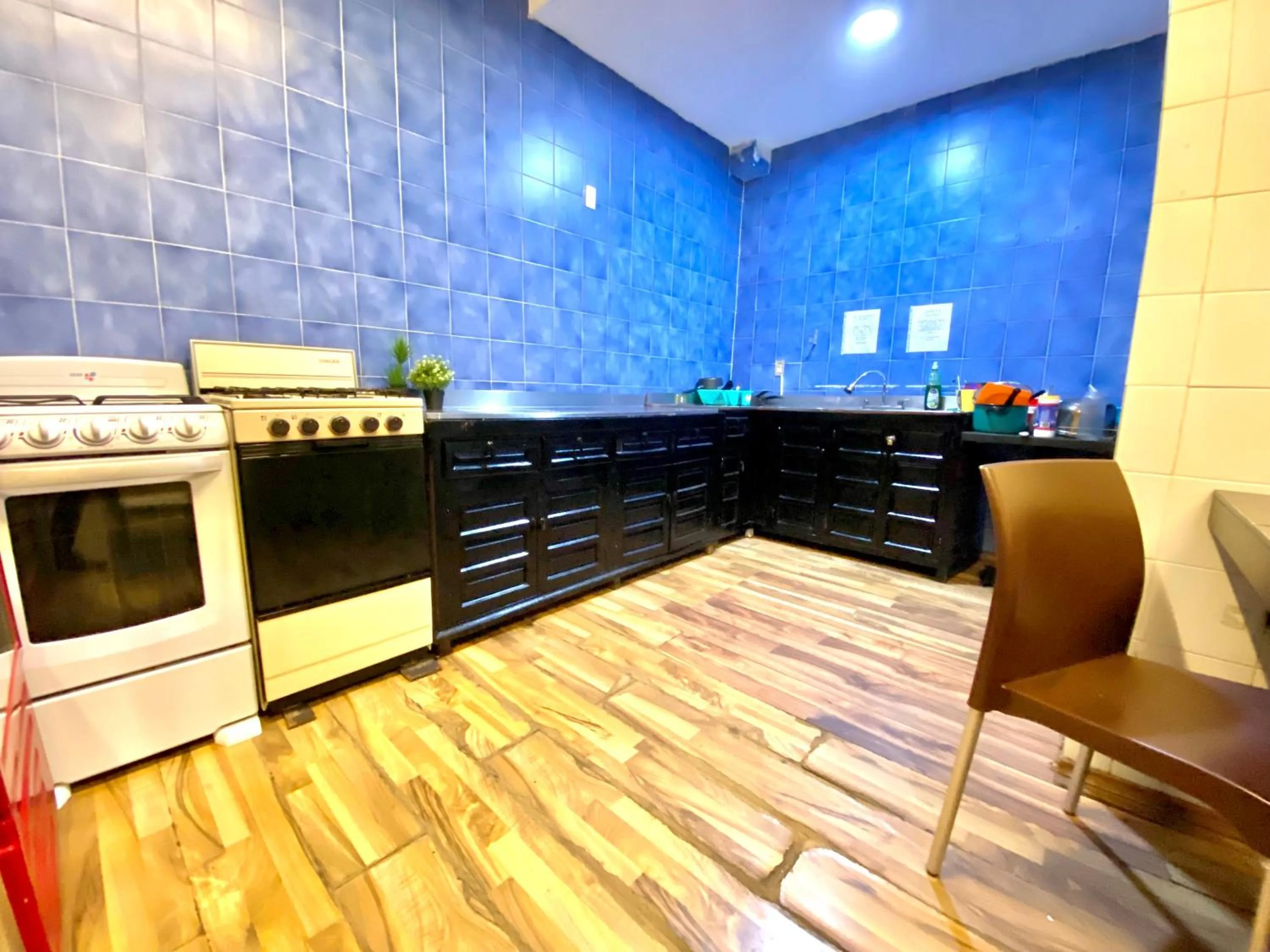 Communal kitchen in ROOMIES HOSTEL Condesa