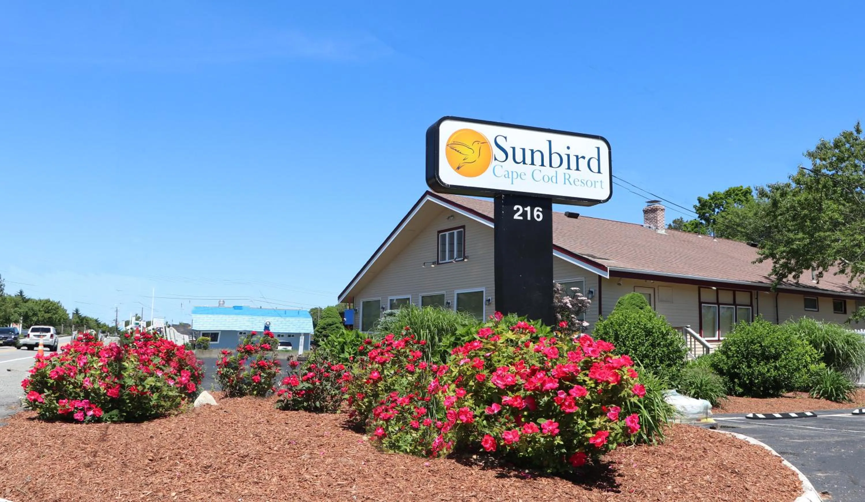Property building in Sunbird Cape Cod Resort