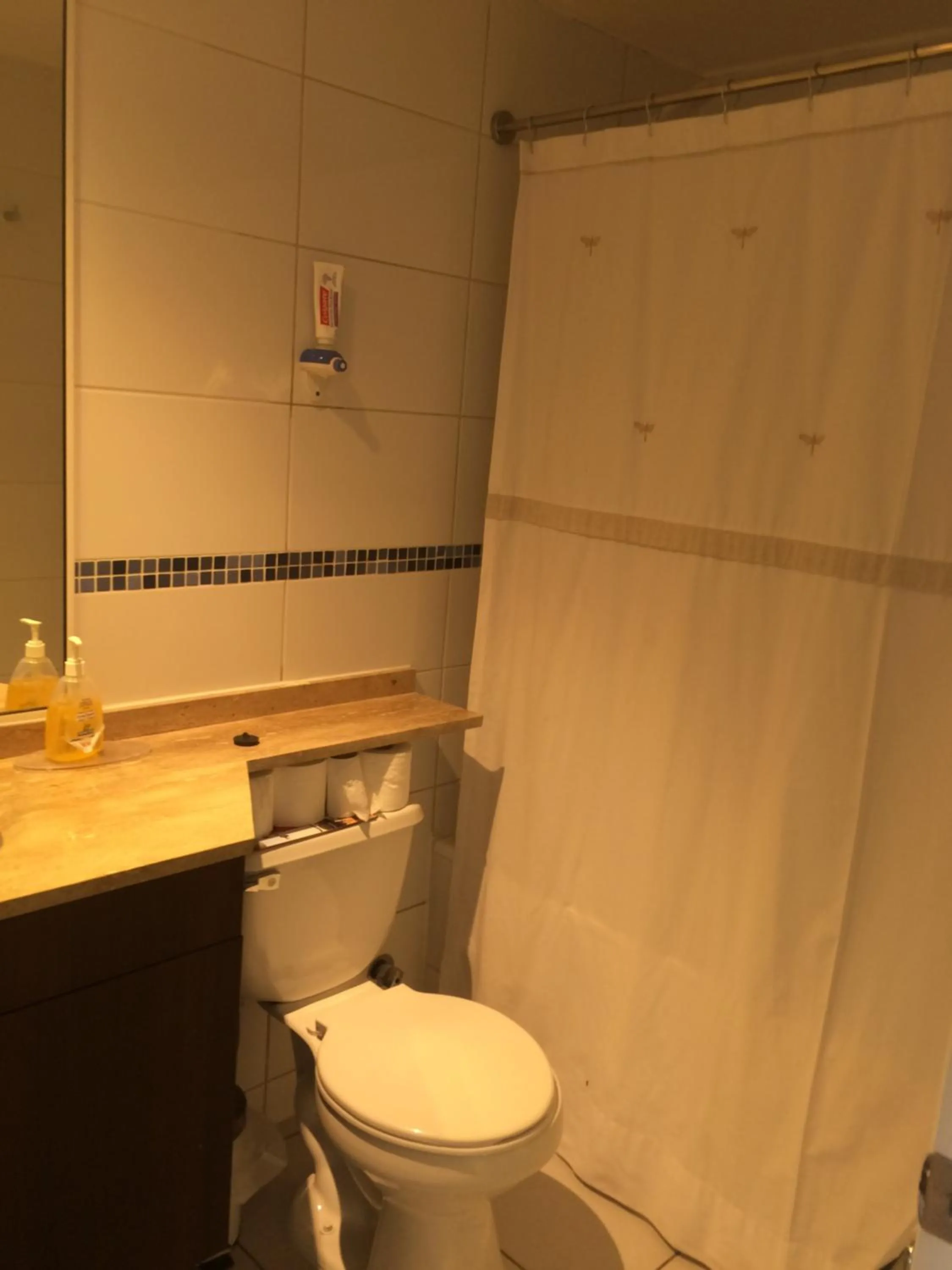 Apartamentos Terrazas de Talca