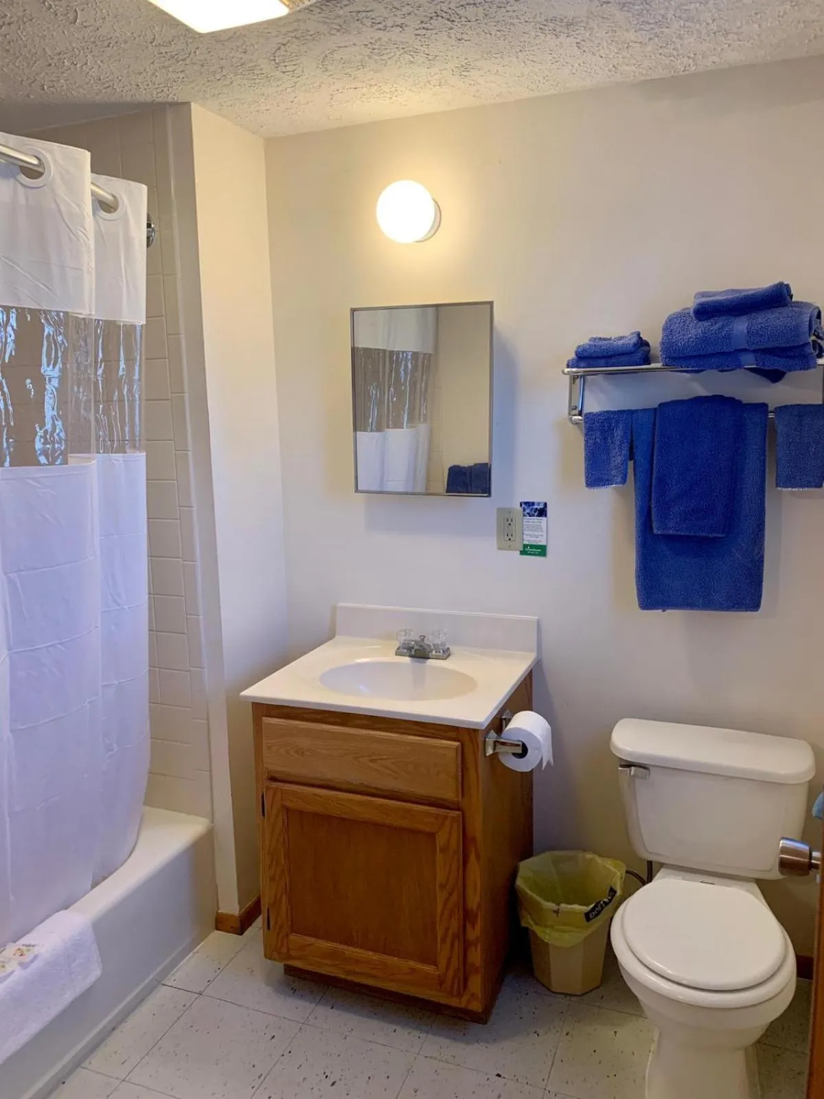 Toilet in Driftwood Resort Bull Shoals