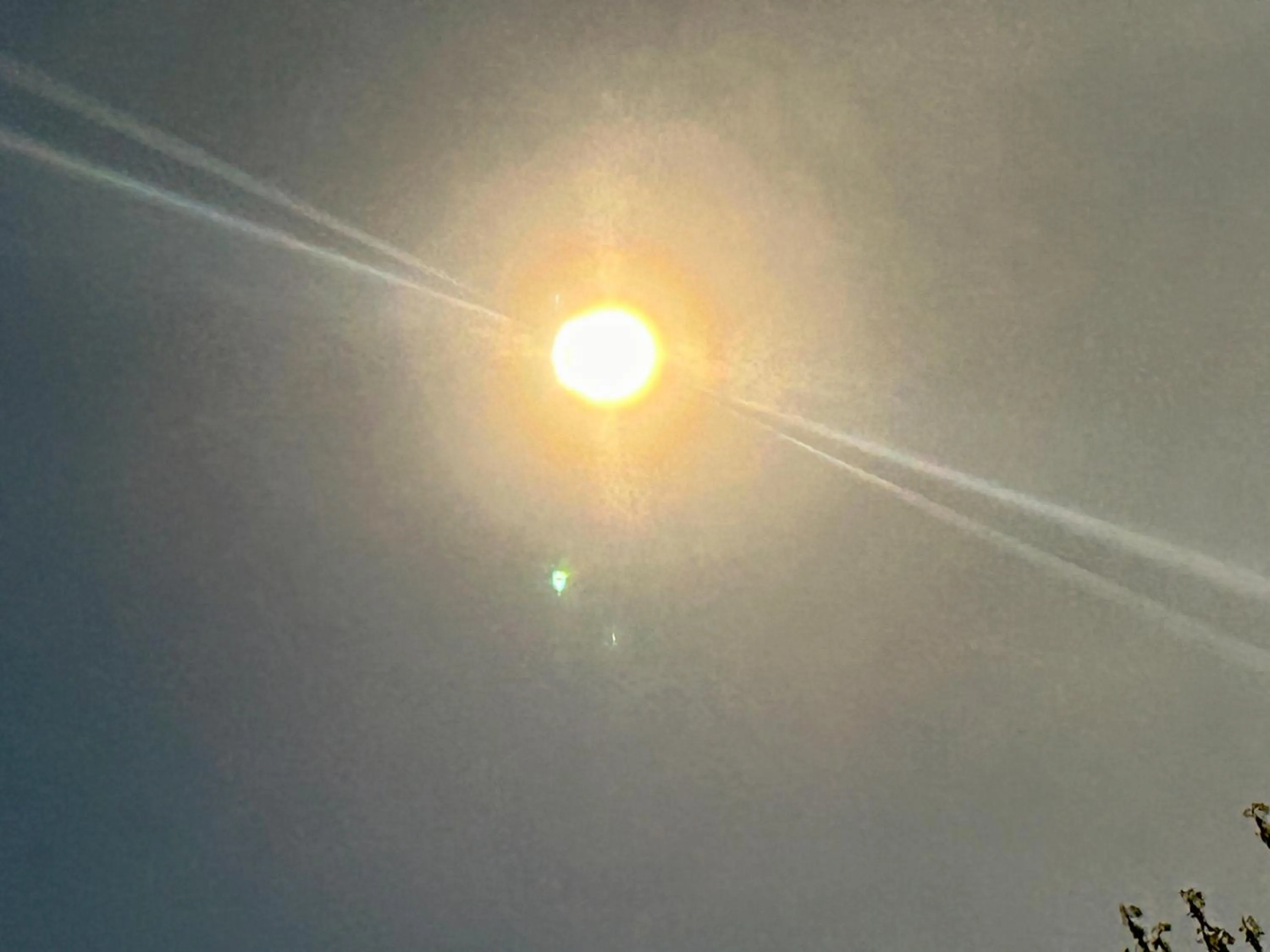 Driftwood Resort Bull Shoals