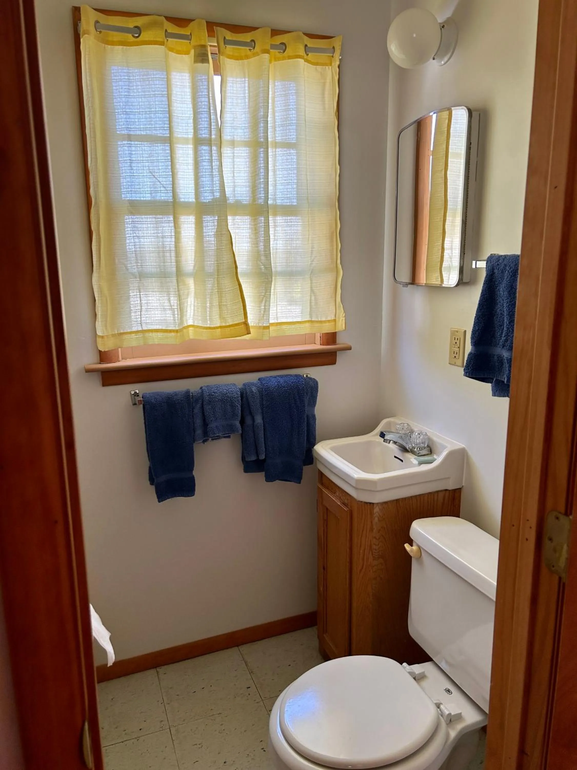 Toilet in Driftwood Resort Bull Shoals