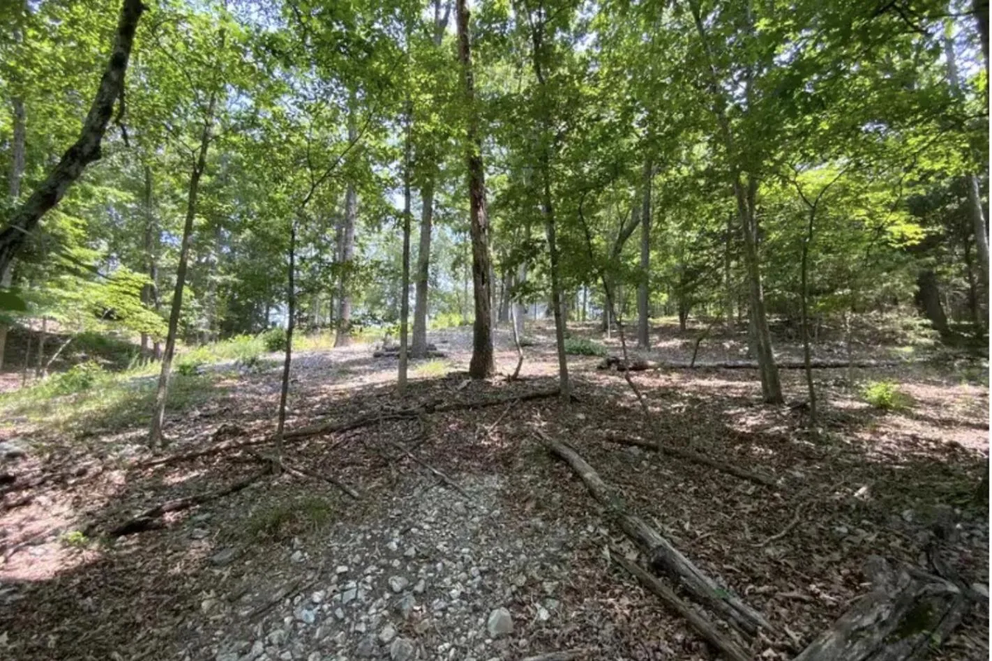 Natural landscape in Driftwood Resort Bull Shoals