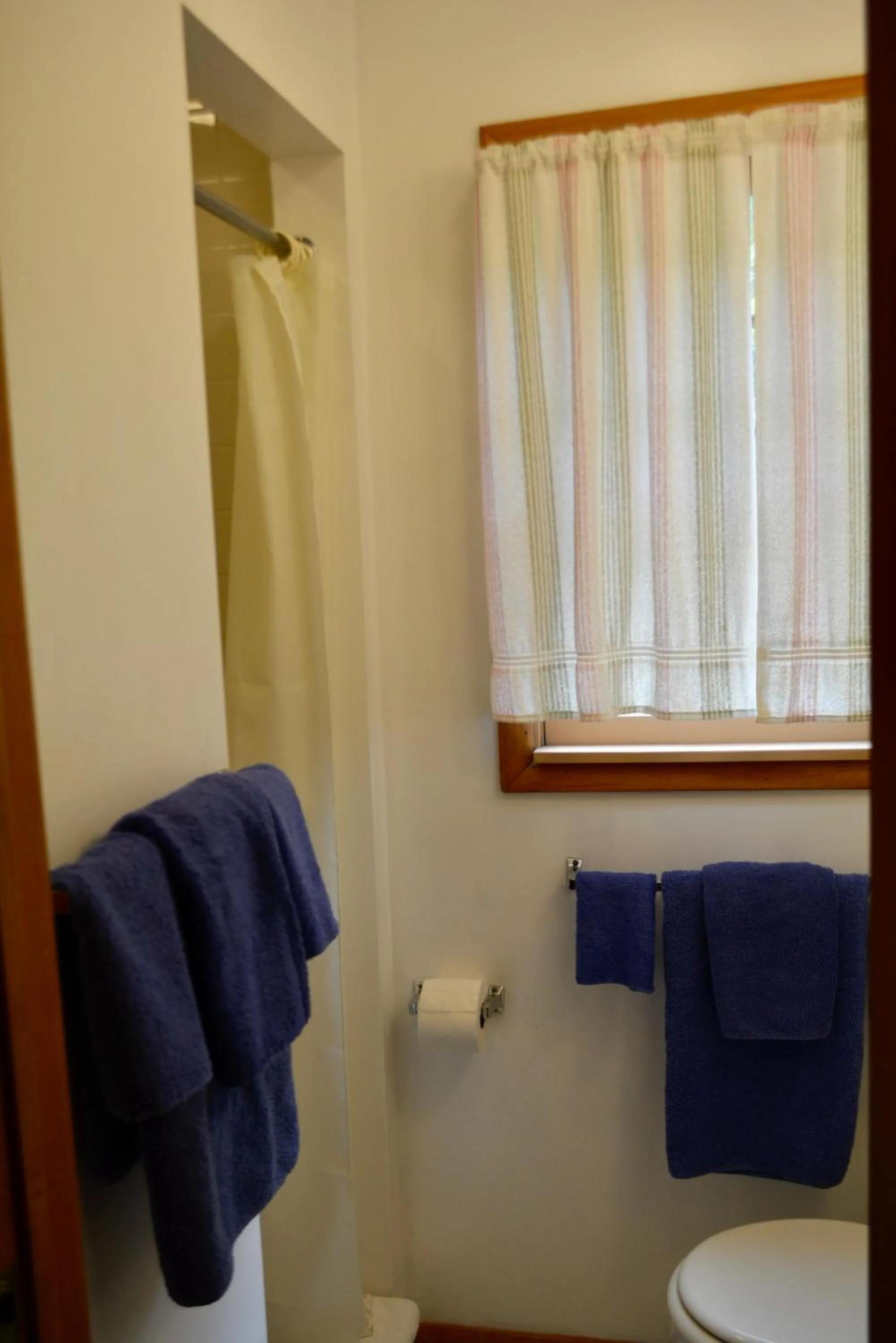 Toilet in Driftwood Resort Bull Shoals