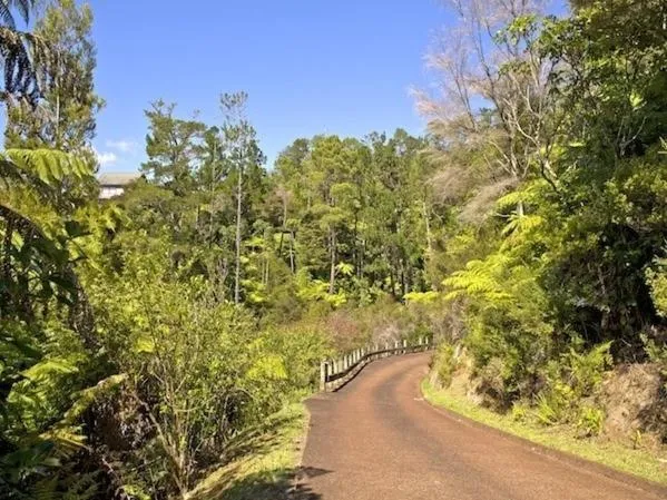 Property building in Treetop Oasis - Tairua Executive Holiday Home
