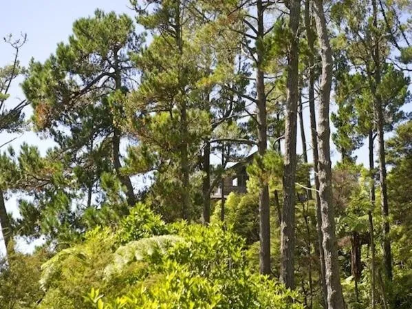 Property building in Treetop Oasis - Tairua Executive Holiday Home