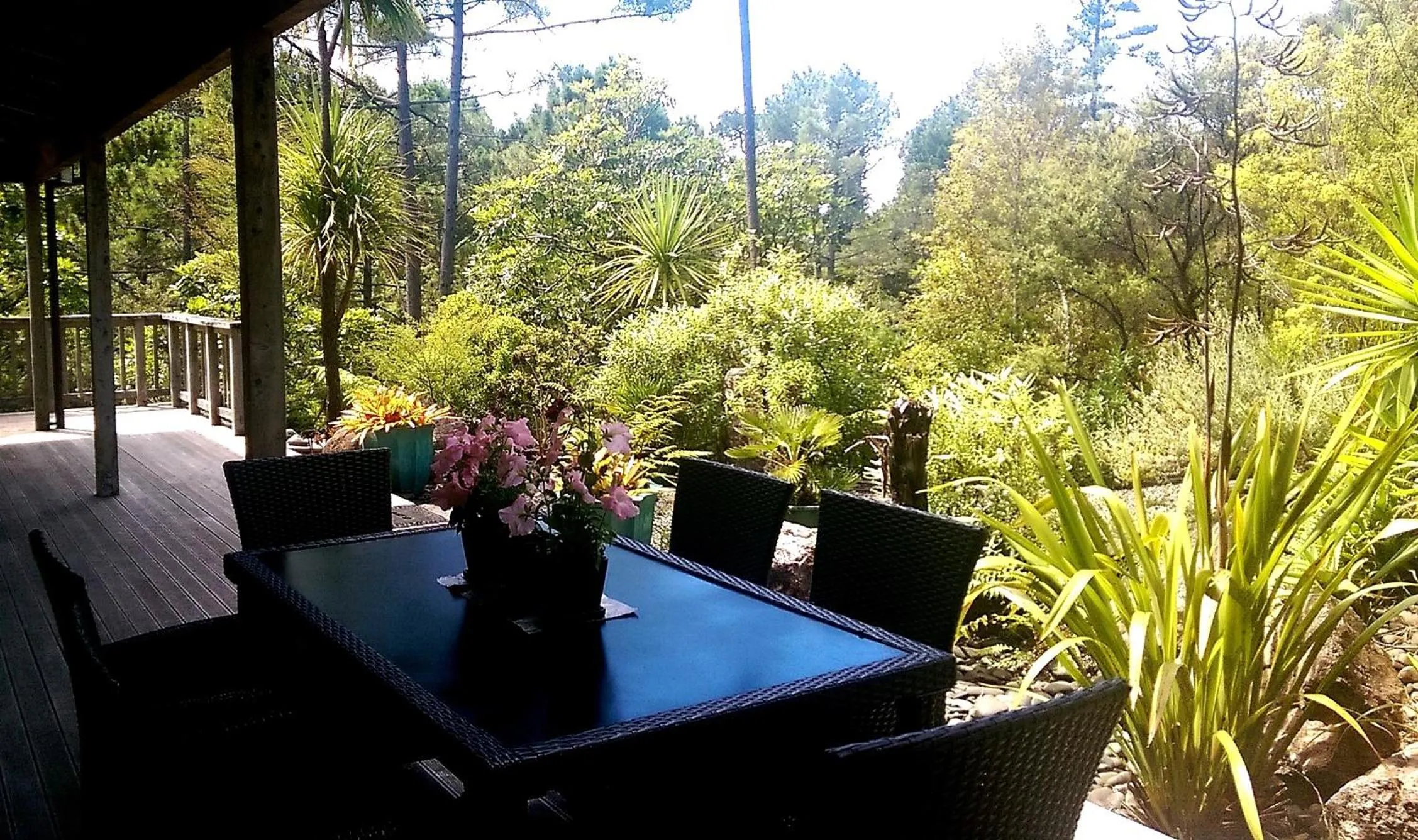Property building in Treetop Oasis - Tairua Executive Holiday Home