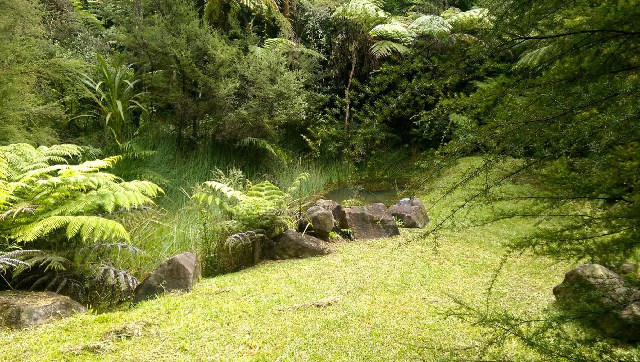Property building in Treetop Oasis - Tairua Executive Holiday Home