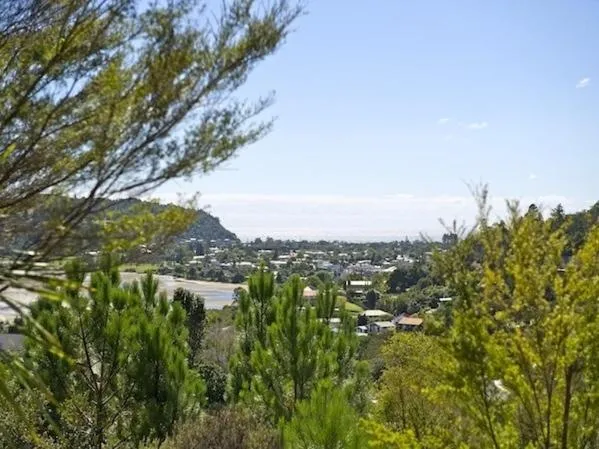 Property building in Treetop Oasis - Tairua Executive Holiday Home