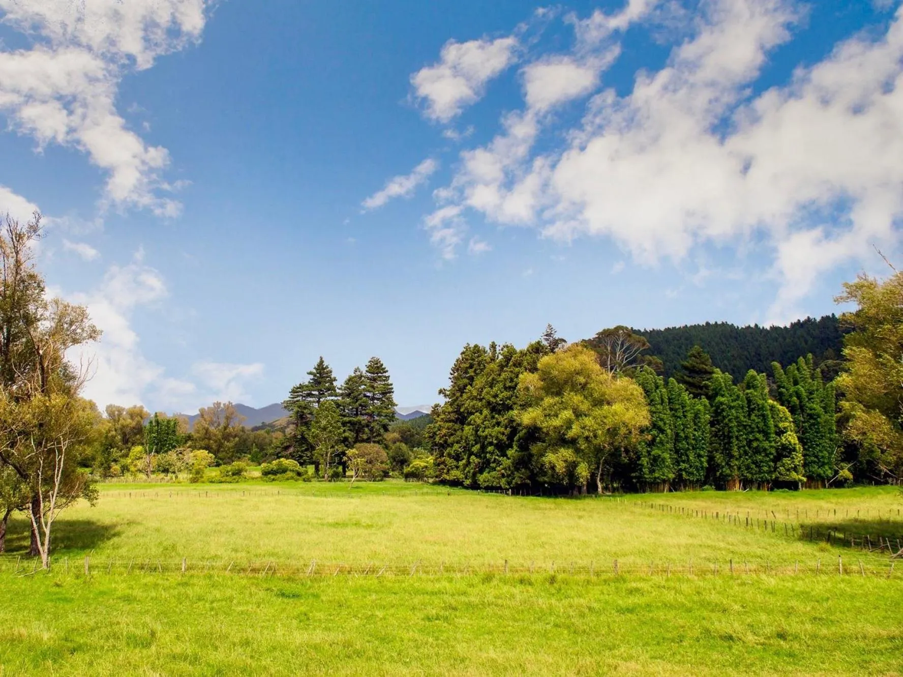 Property building in Sea Breeze - Whangamata Holiday Home