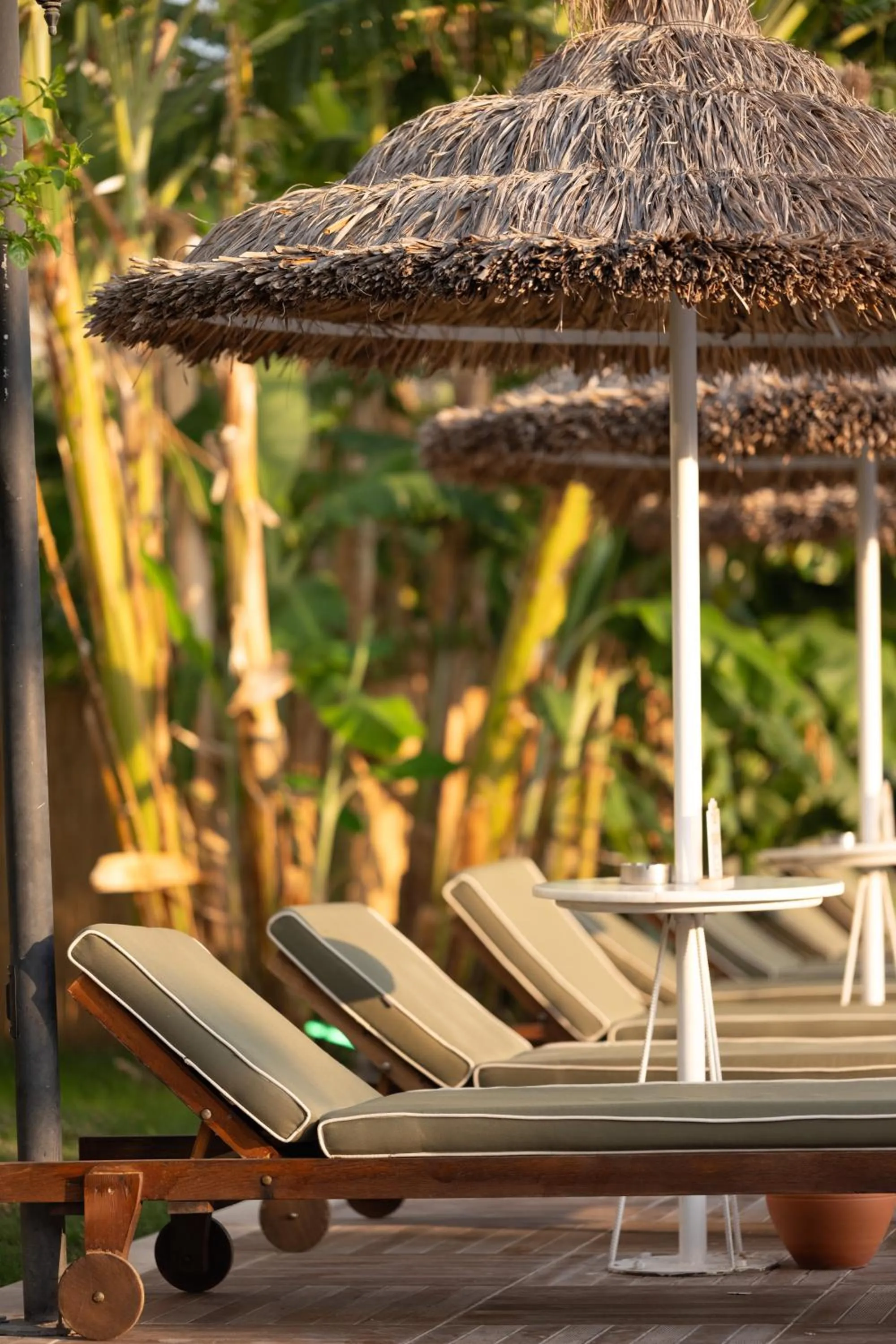 Day in Palmonte Suites Hotel & SPA