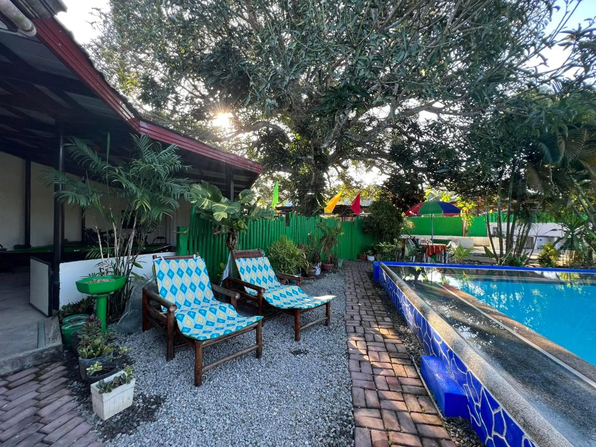 Swimming pool in Ice Bear Bar & Tourist Inn