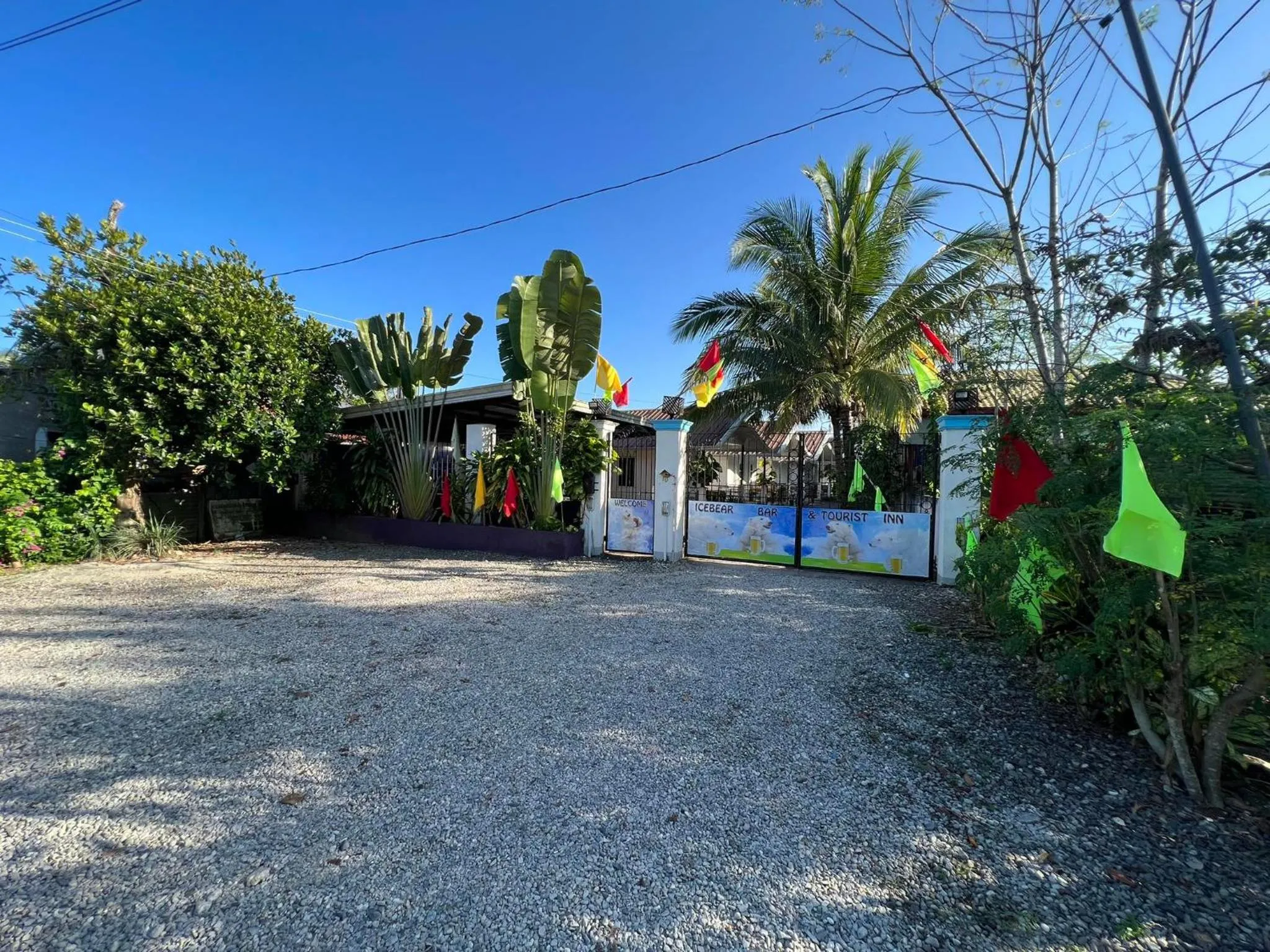 Ice Bear Bar & Tourist Inn