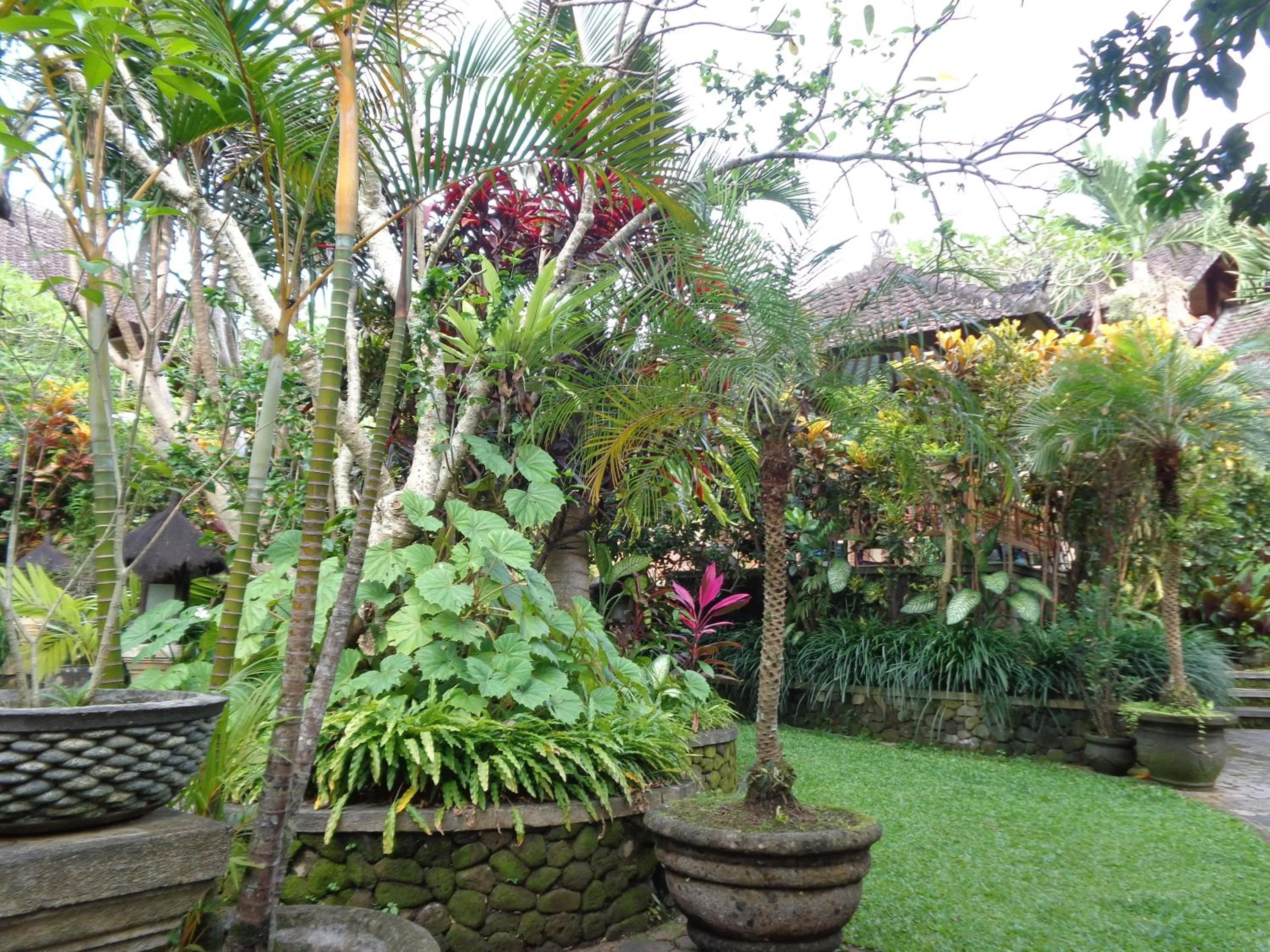 Garden in Klub Kokos Bungalows