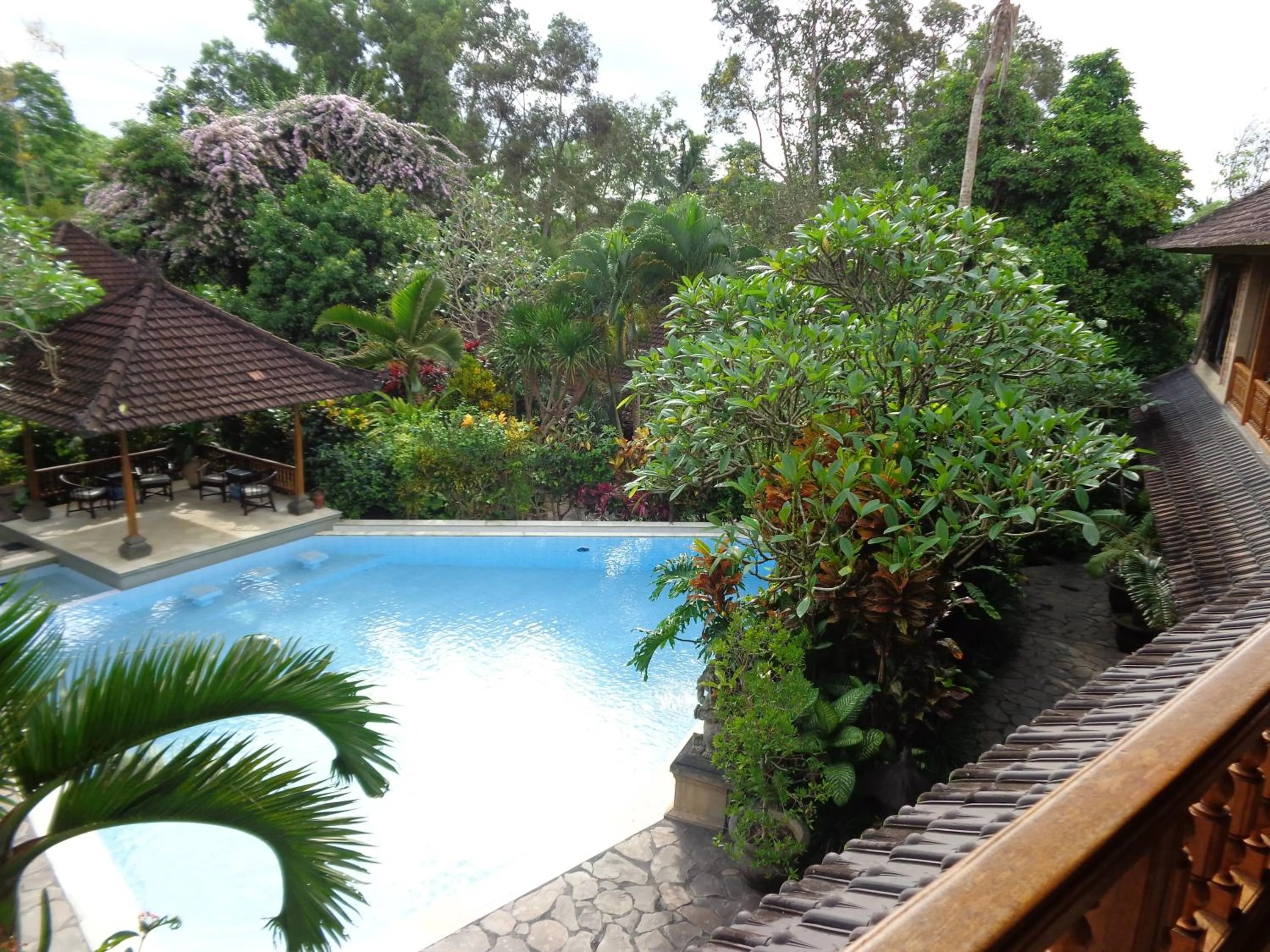 Swimming pool in Klub Kokos Bungalows