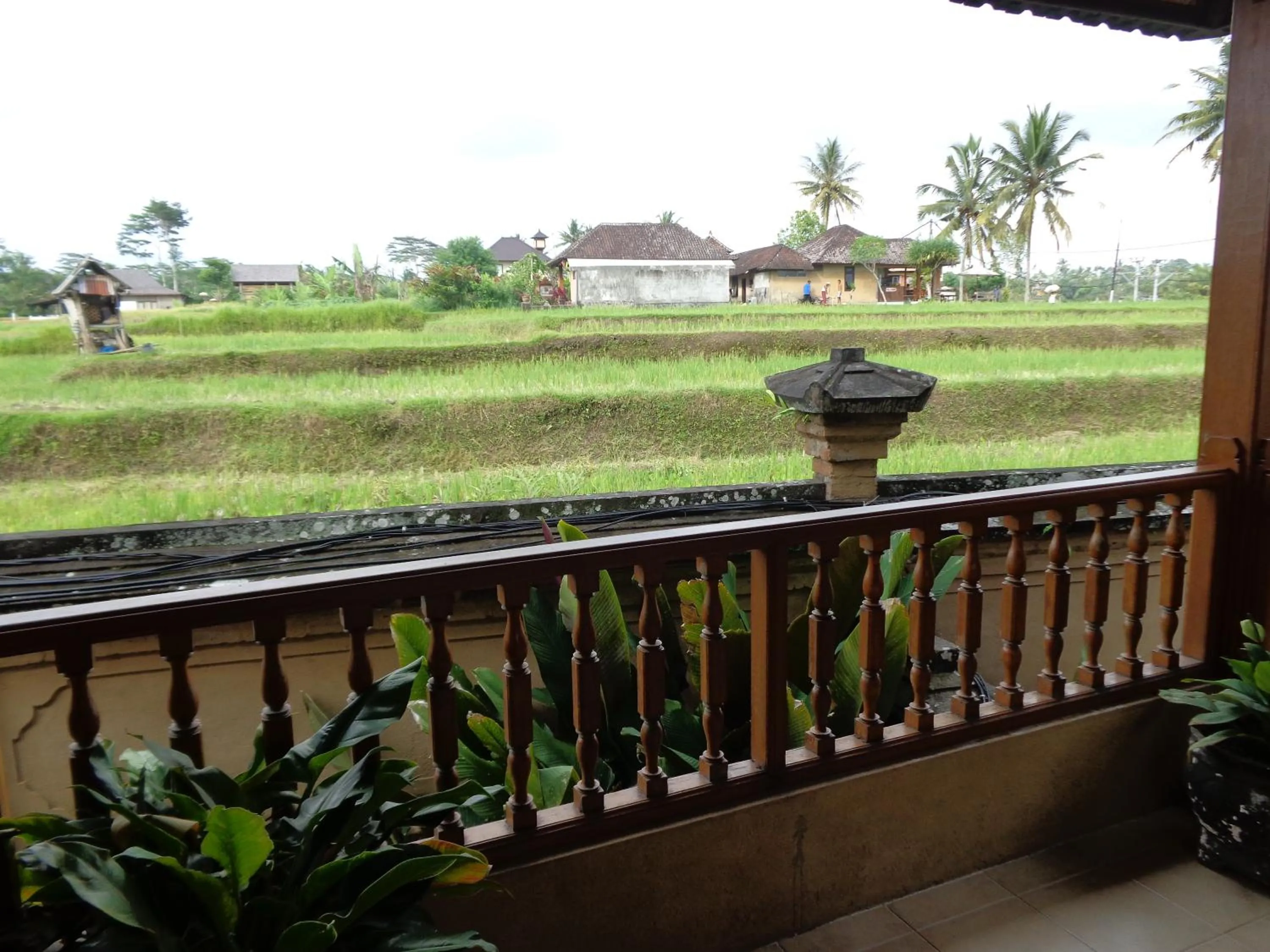 View (from property/room) in Klub Kokos Bungalows