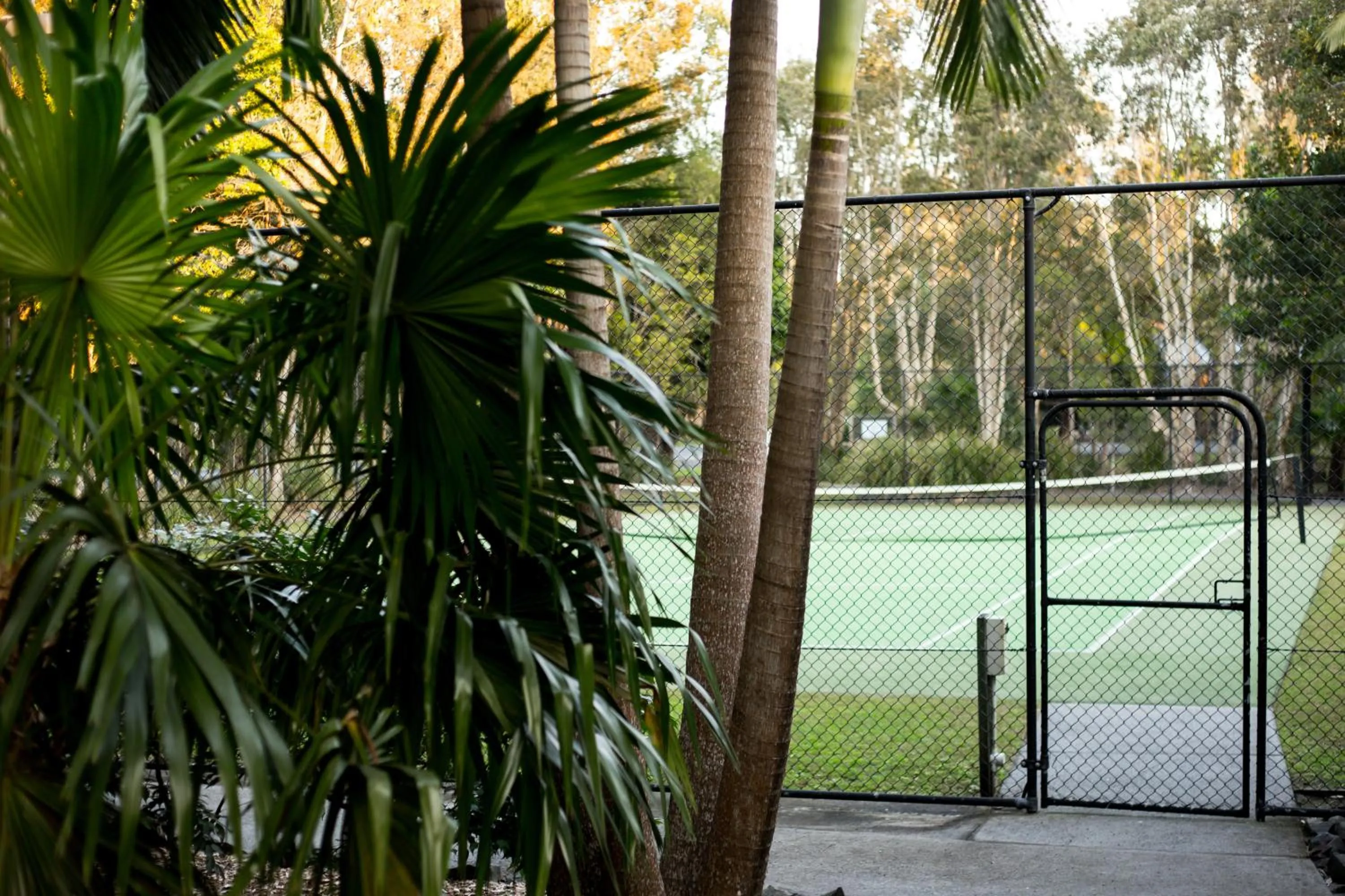 Tennis court in NRMA Angourie Resort, Yamba