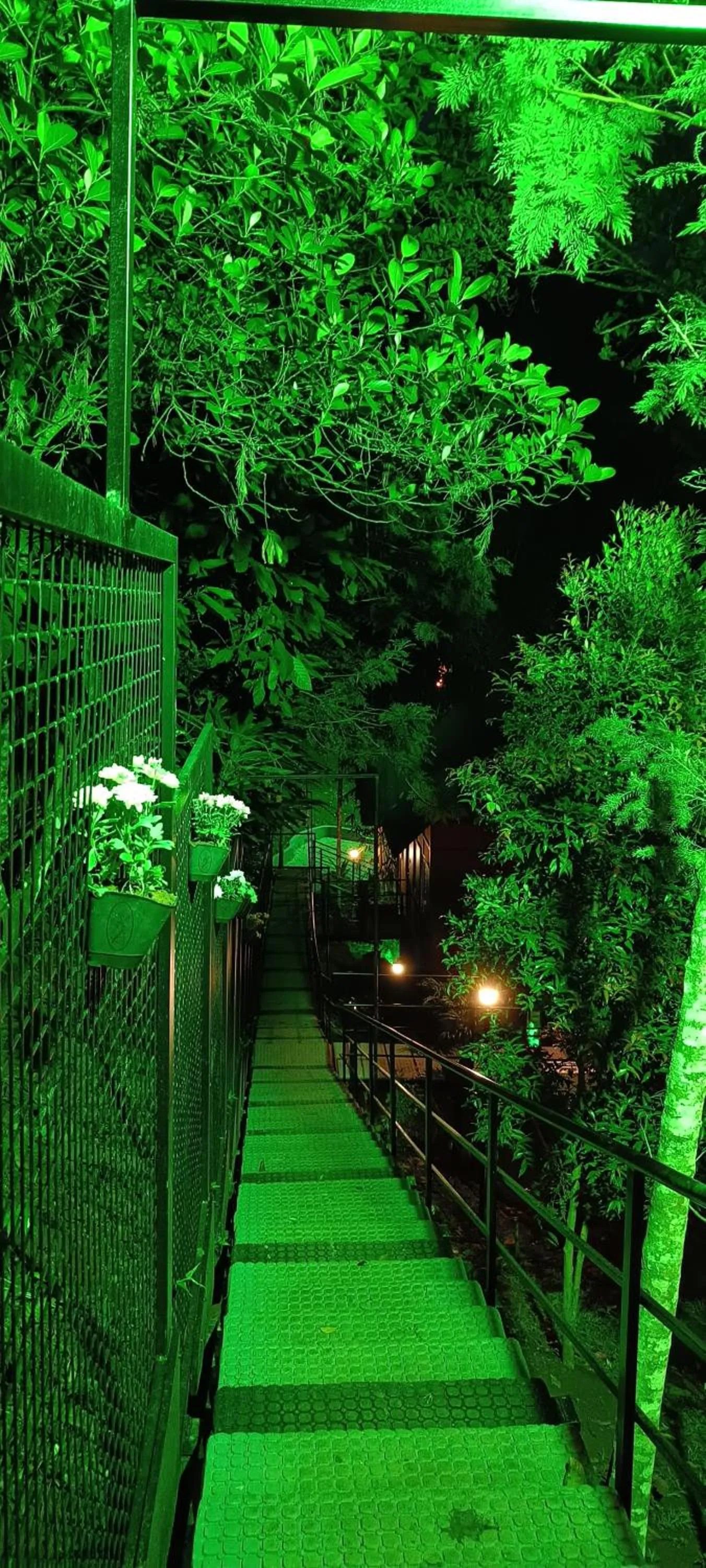 Night in Santhi Hill View Resort