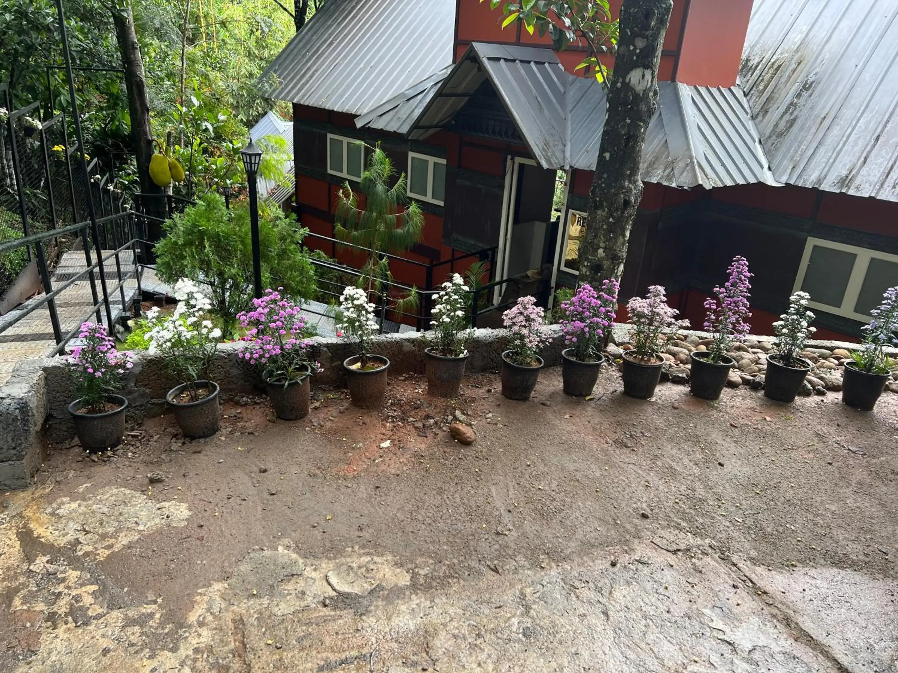 Restaurant/places to eat in Santhi Hill View Resort Restaurant/places to eat in Santhi Hill View Resort