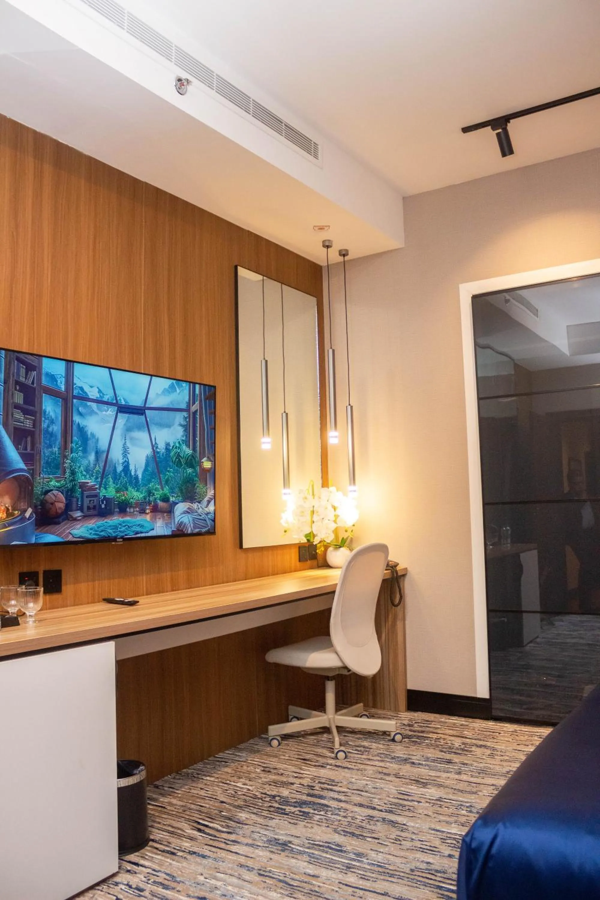 TV and multimedia in Dana Hotel