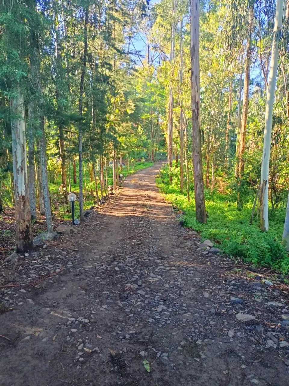 Day in Tranquil Homestays