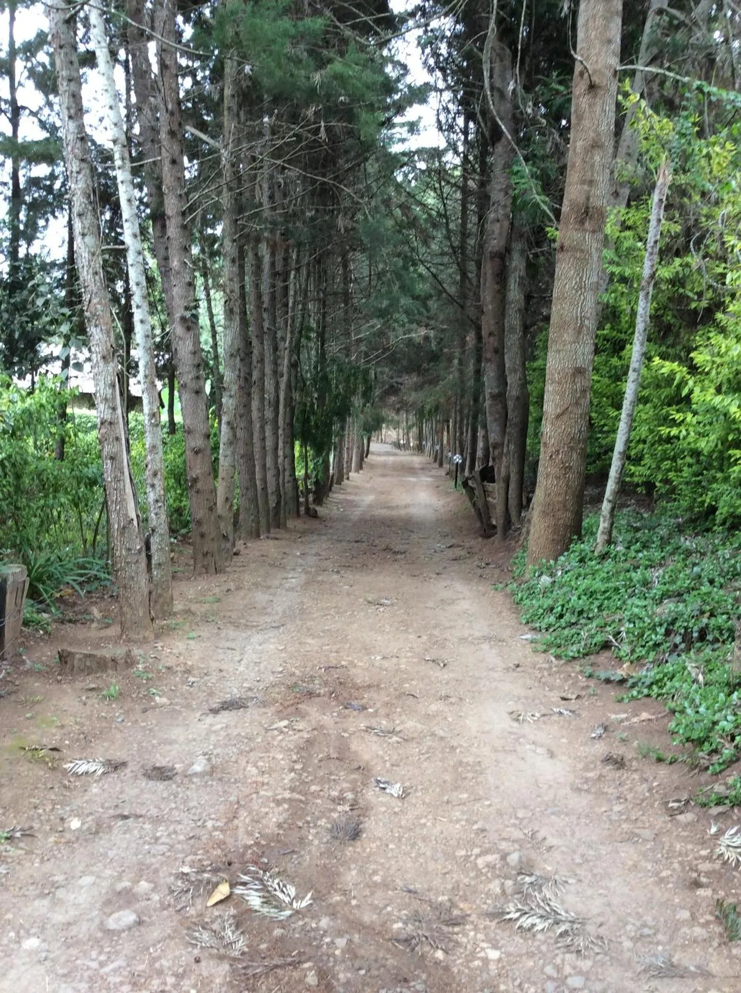 Natural landscape in Tranquil Homestays