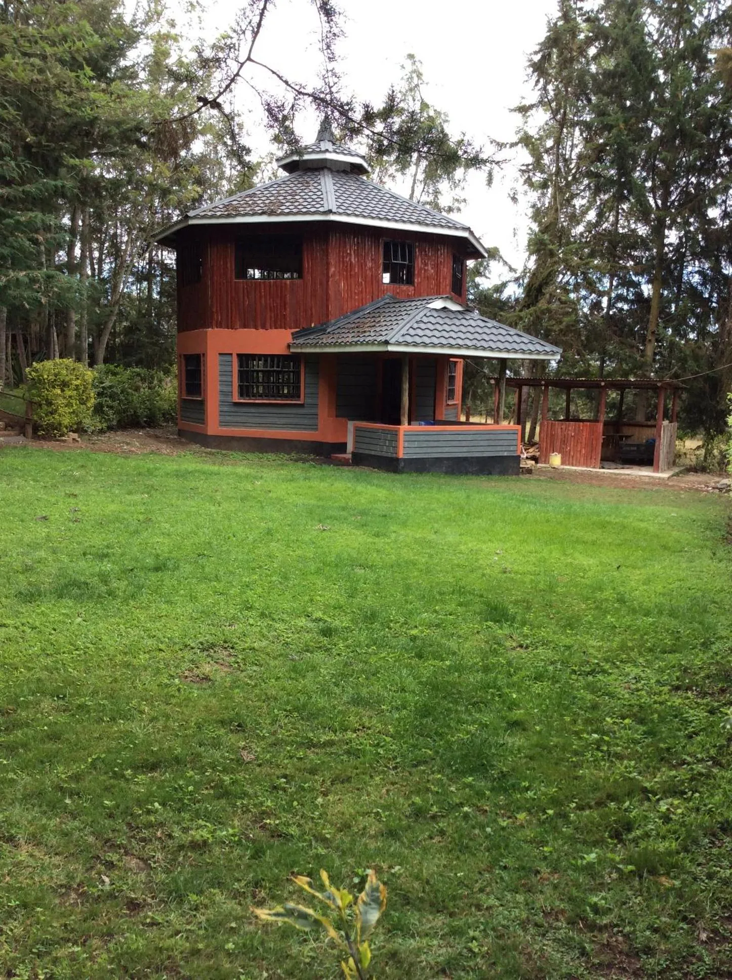 Restaurant/places to eat in Tranquil Homestays