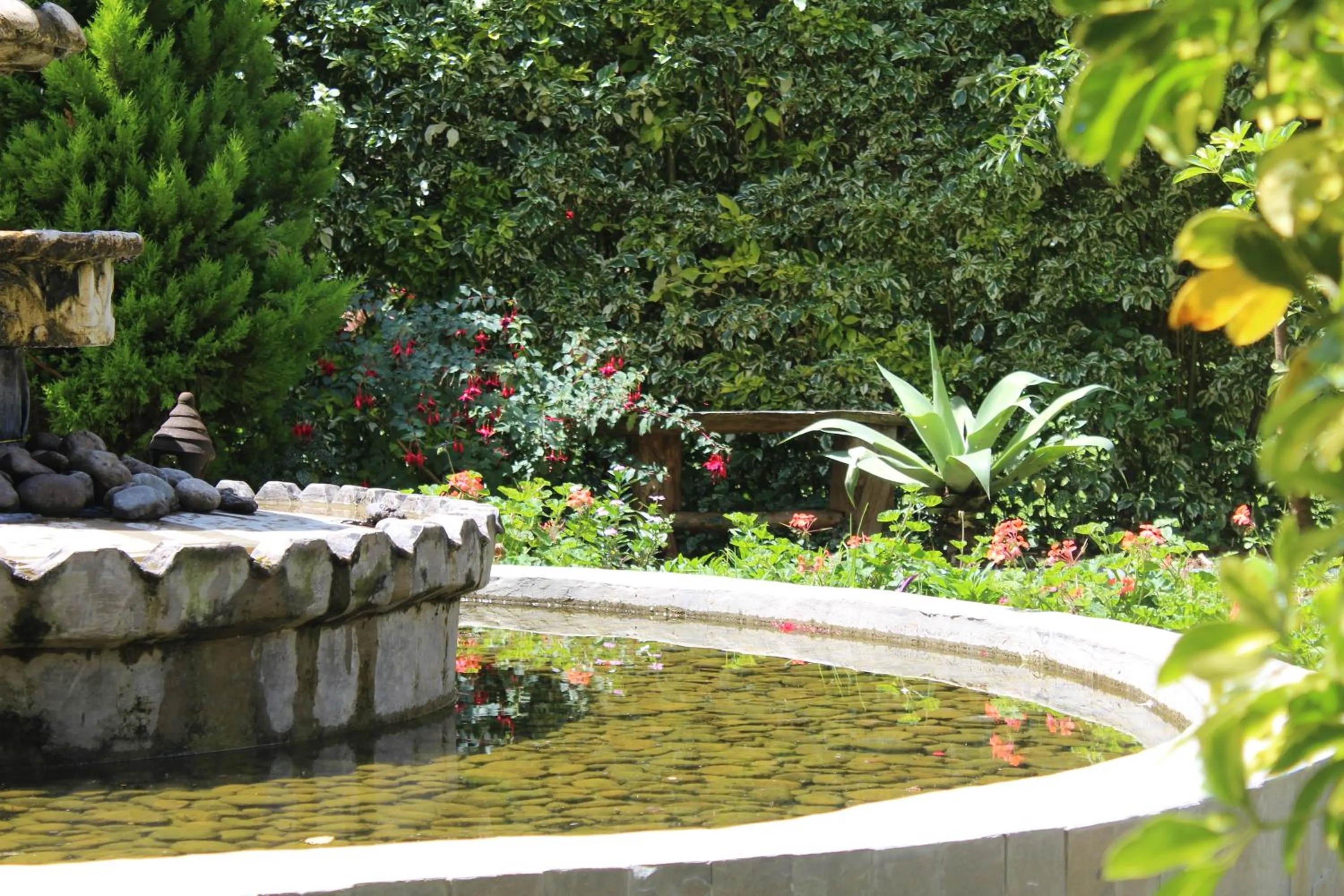 Spring in Tranquil Homestays