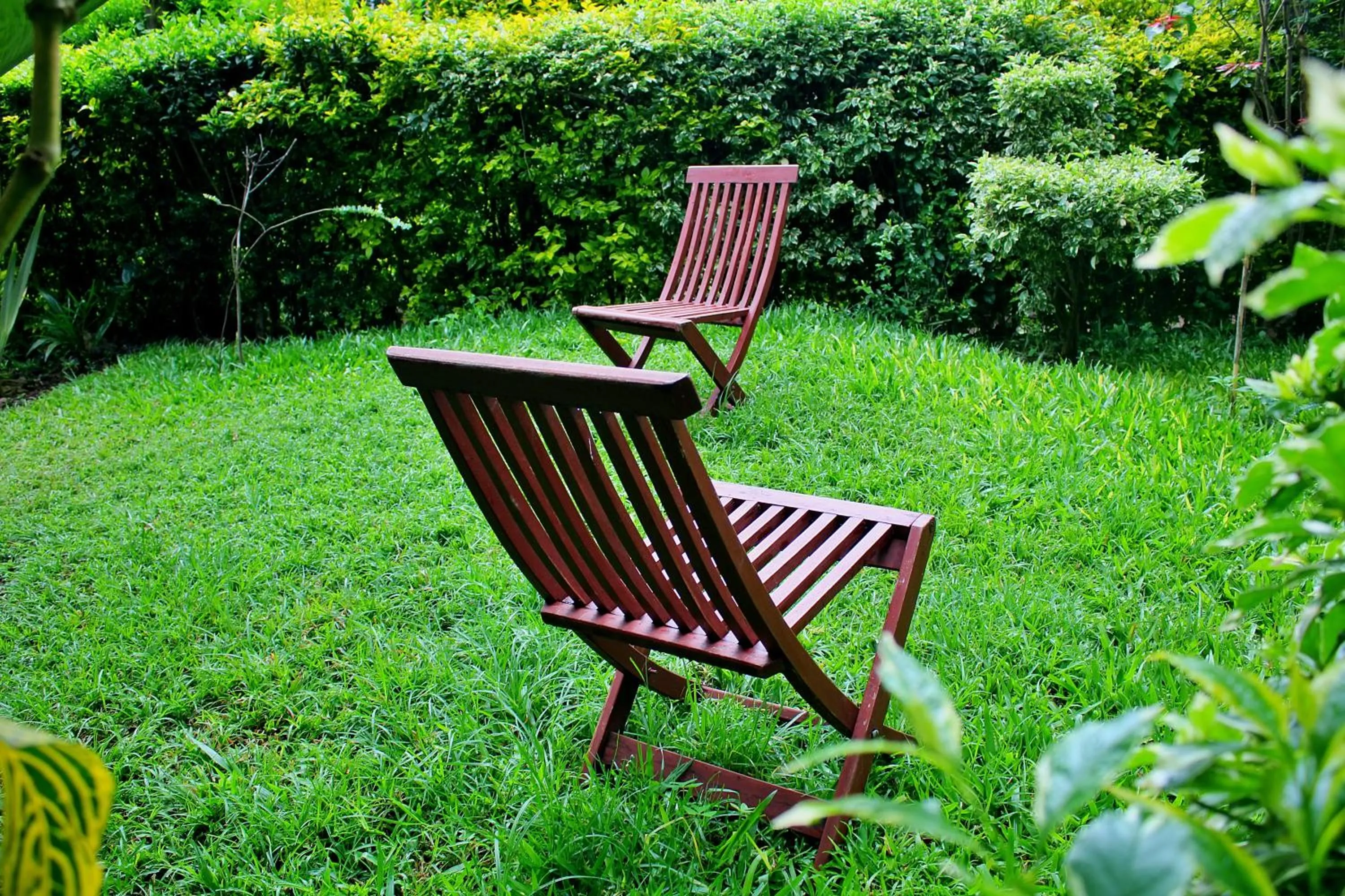 Garden in Tranquil Homestays