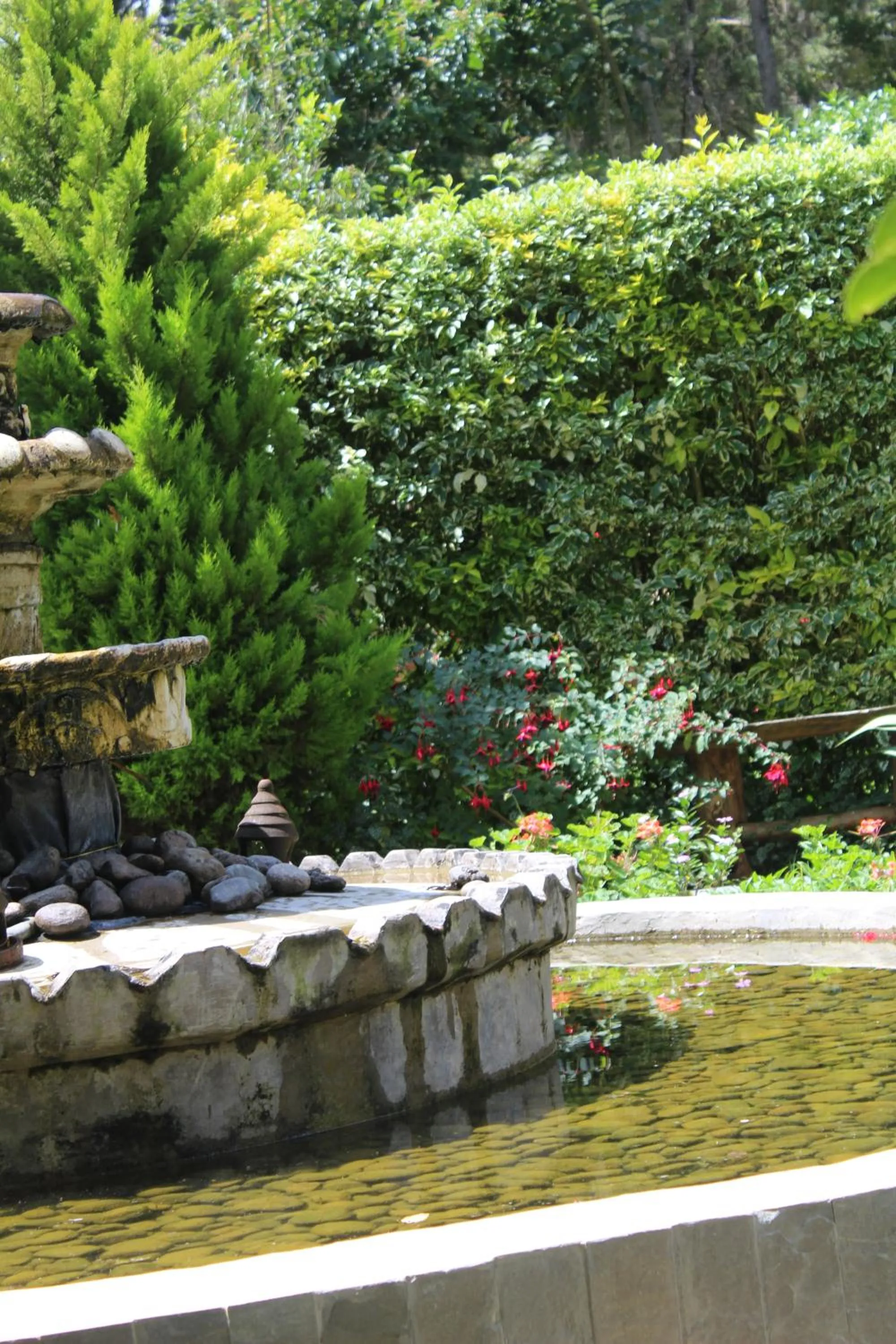 Day in Tranquil Homestays