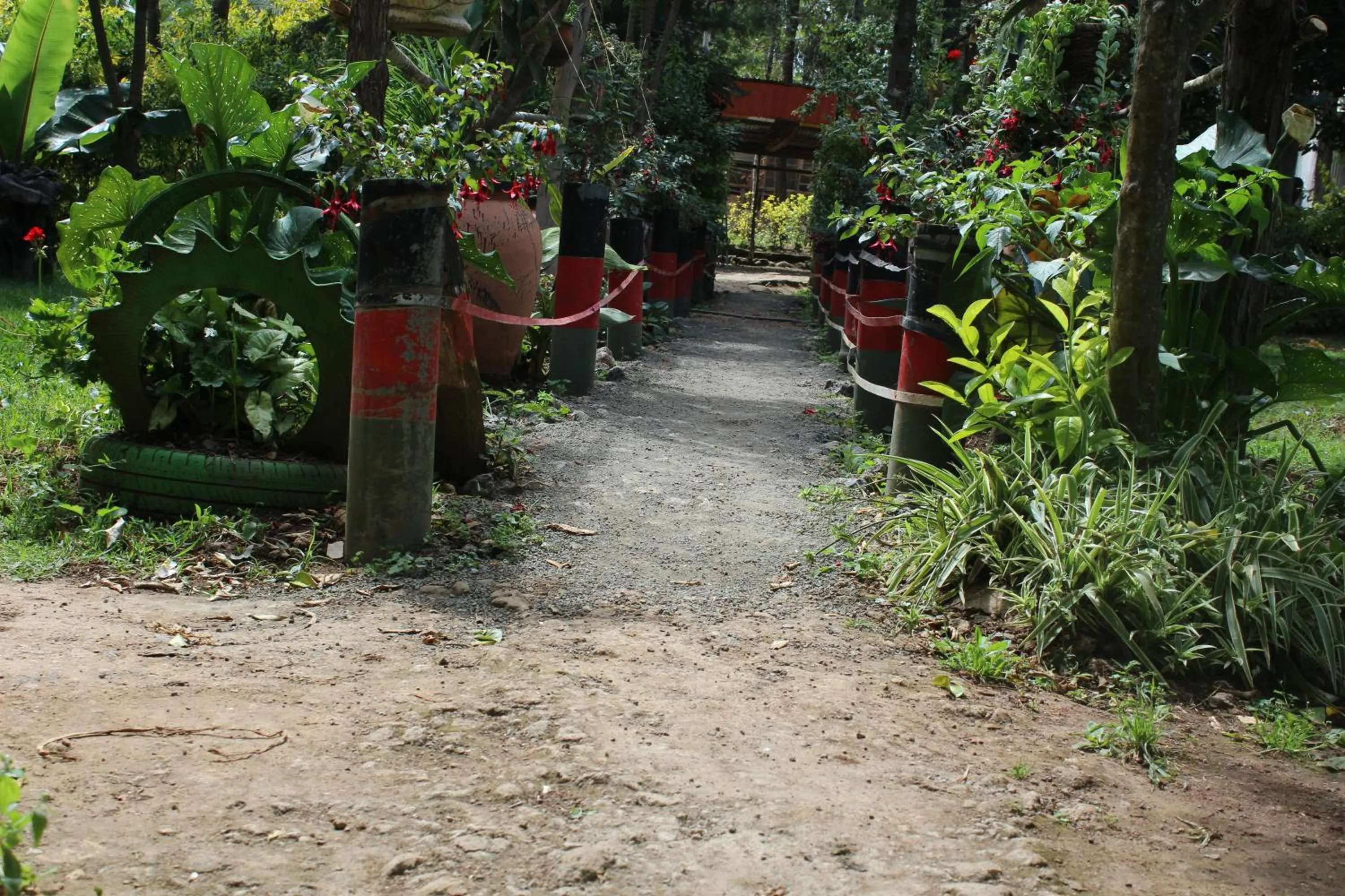 Natural landscape in Tranquil Homestays