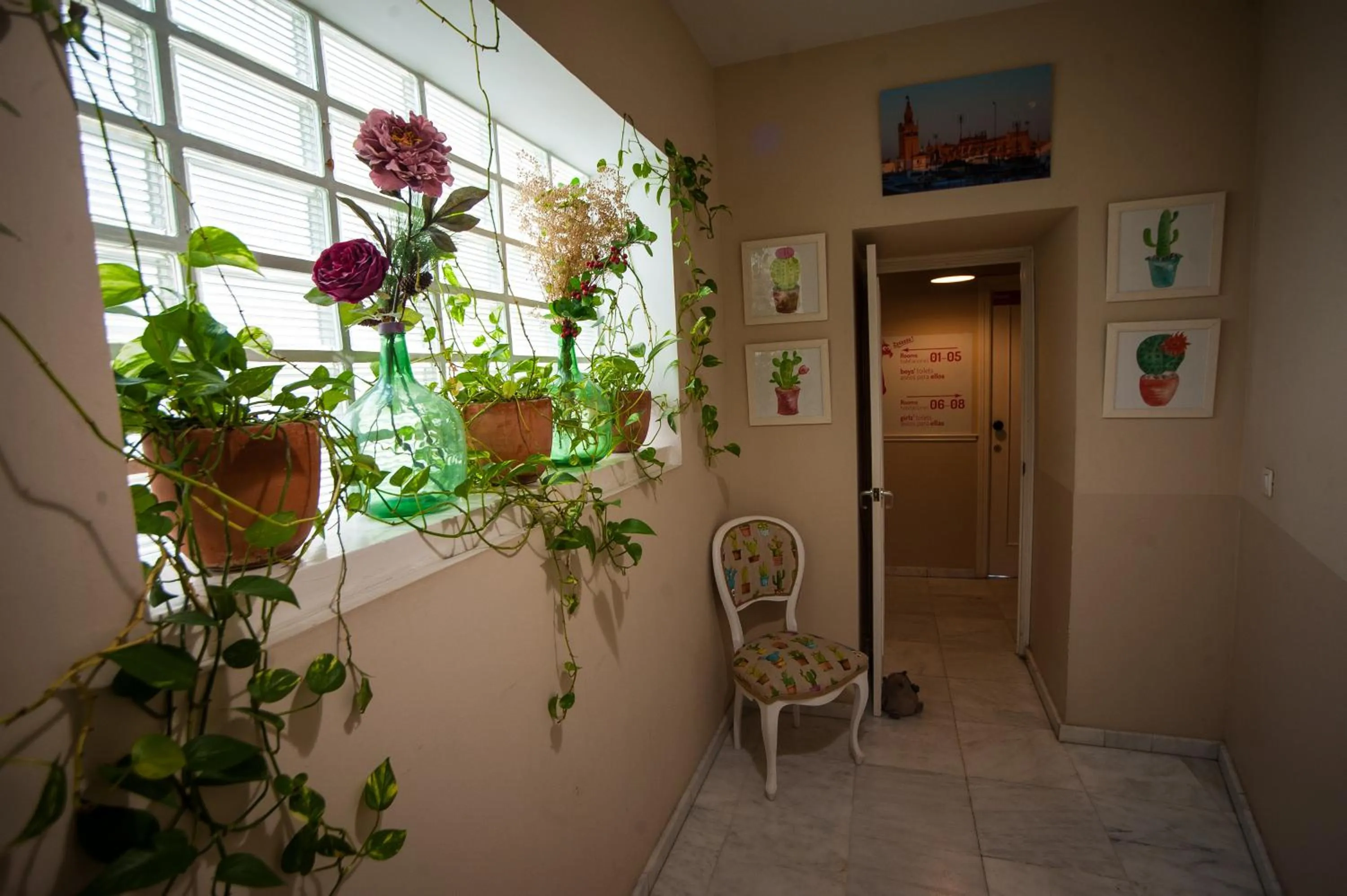 Area and facilities in La Flamenka Hostel