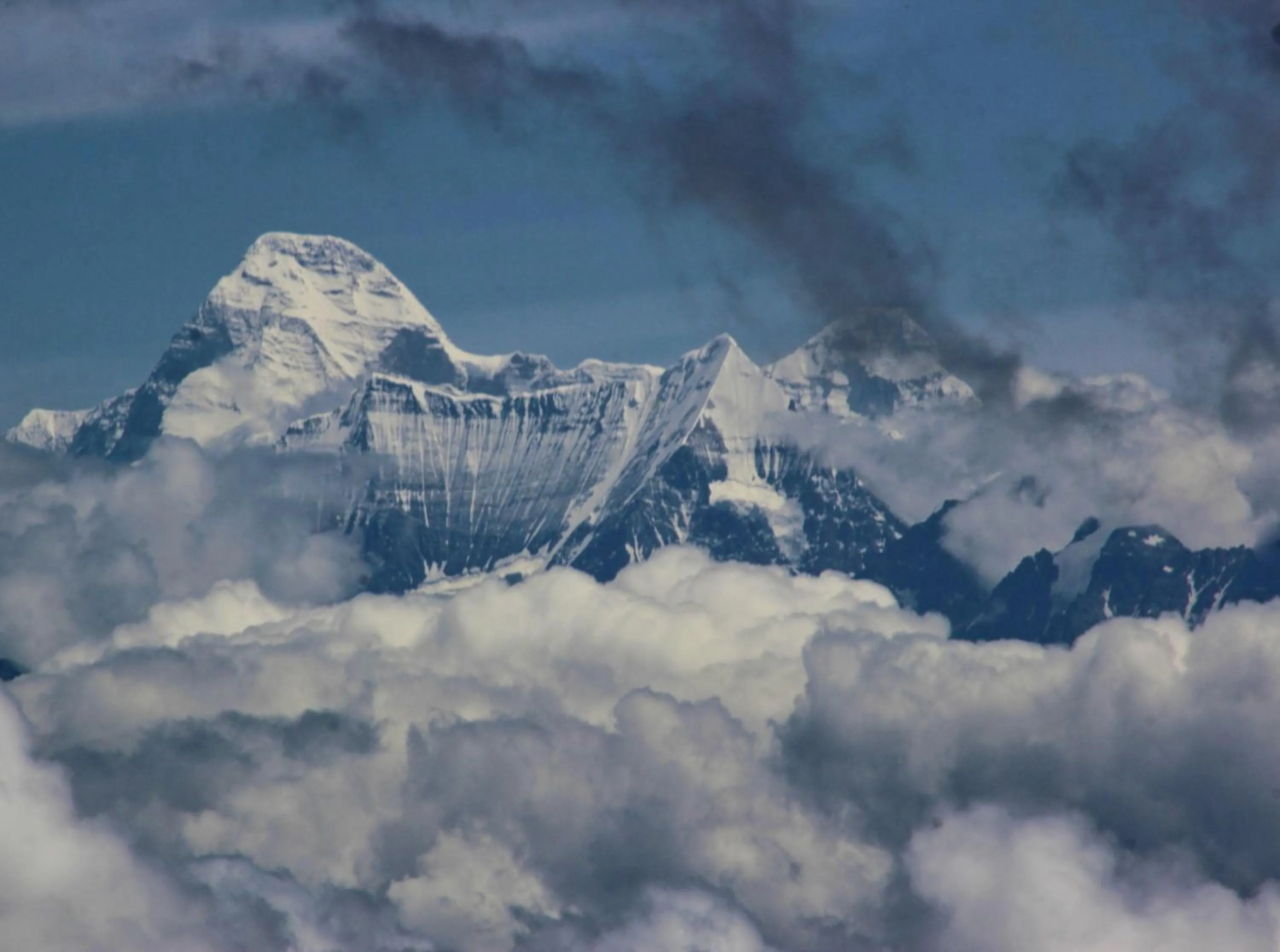 View (from property/room) in Traveller Hive Kasar Devi