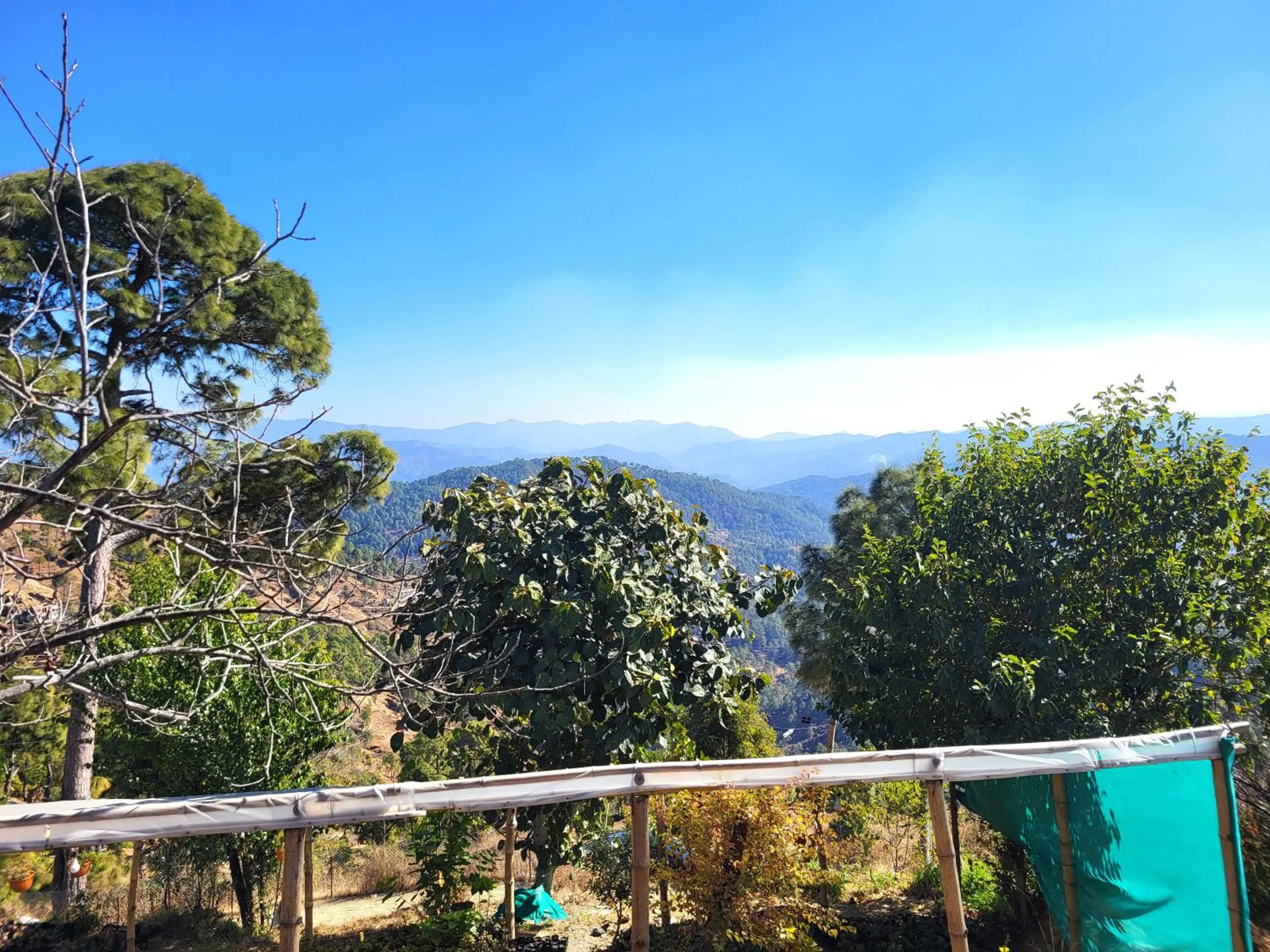 Garden view in Traveller Hive Kasar Devi