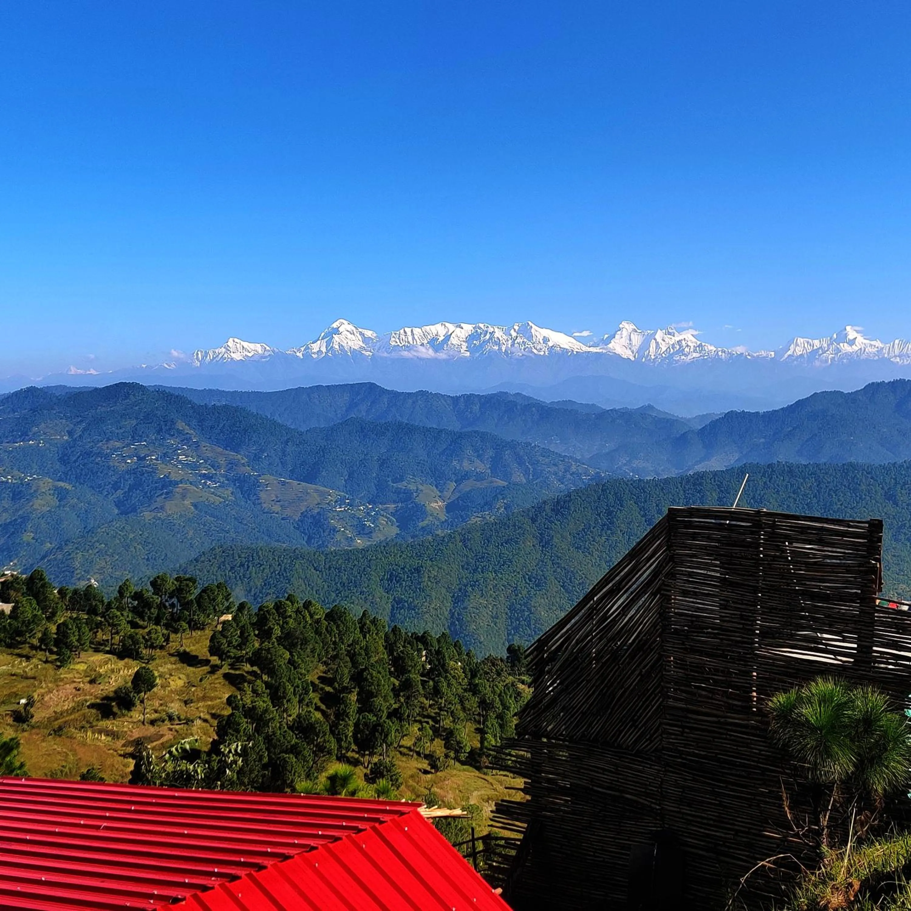 View (from property/room) in Traveller Hive Kasar Devi