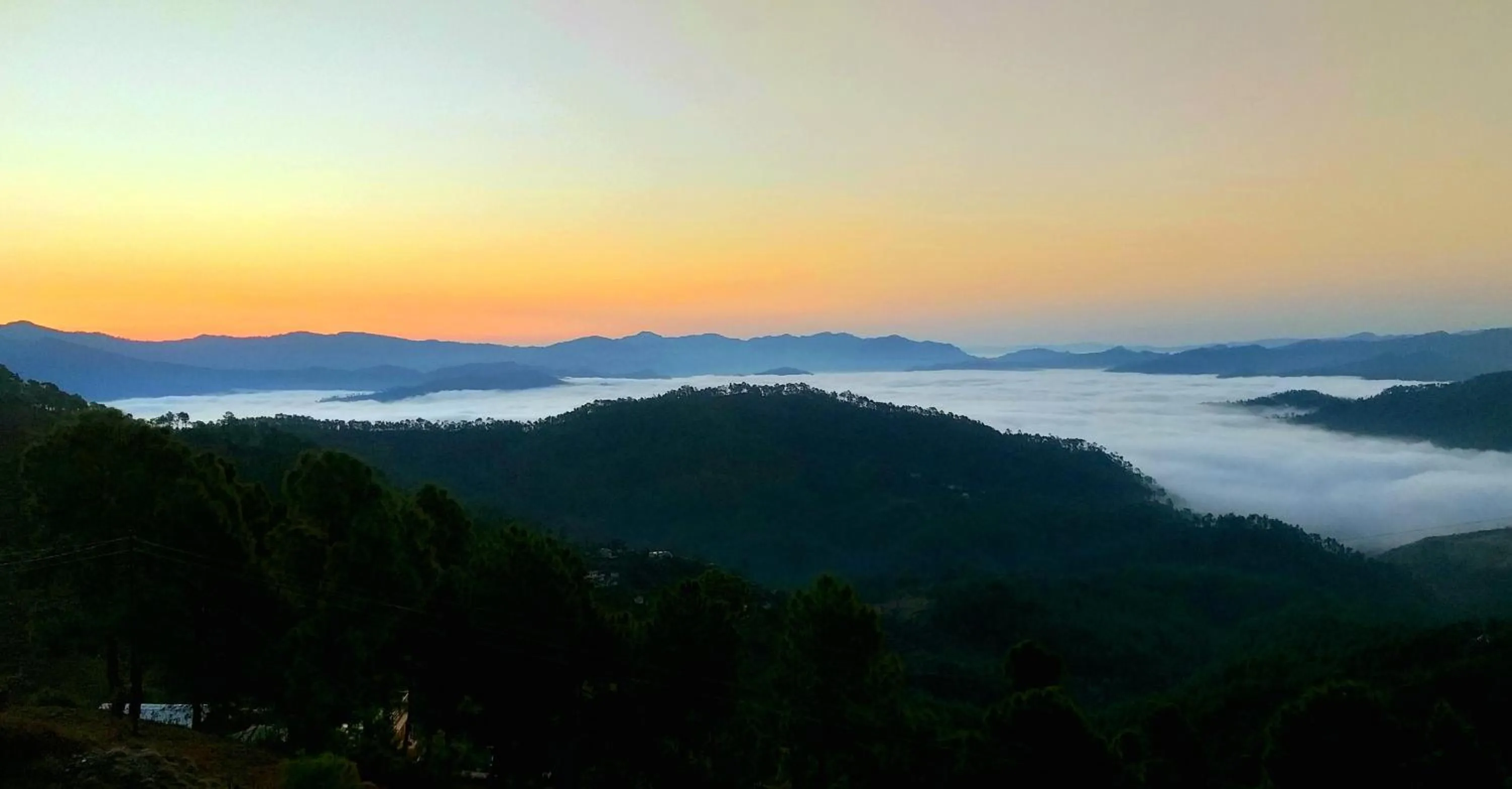 Natural landscape in Traveller Hive Kasar Devi