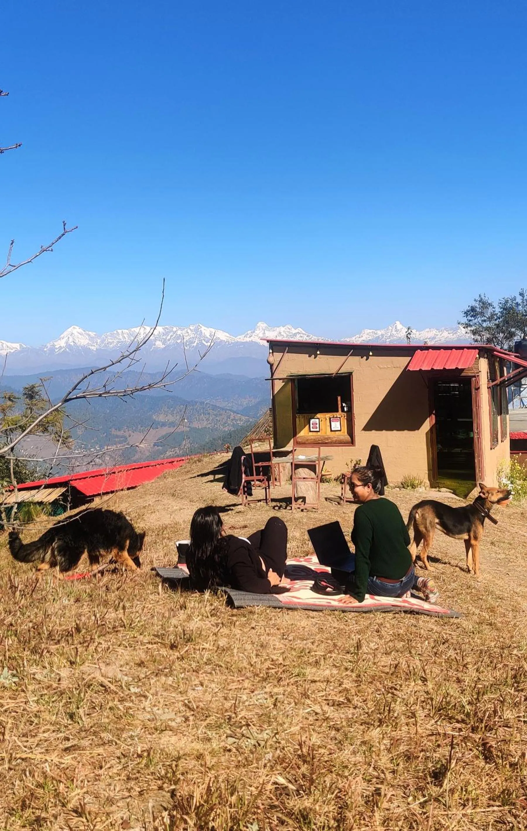 Natural landscape in Traveller Hive Kasar Devi