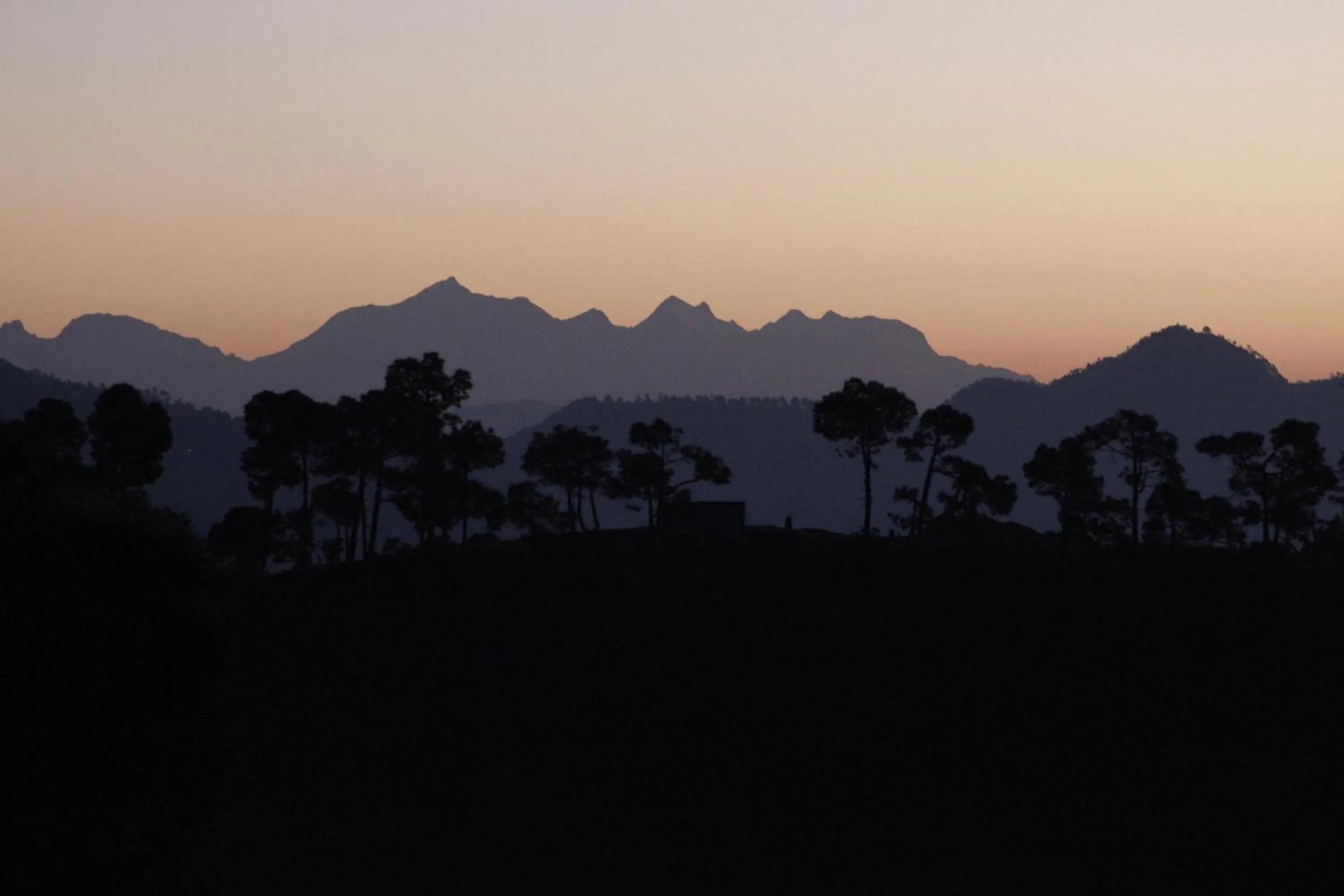 Mountain view in Traveller Hive Kasar Devi