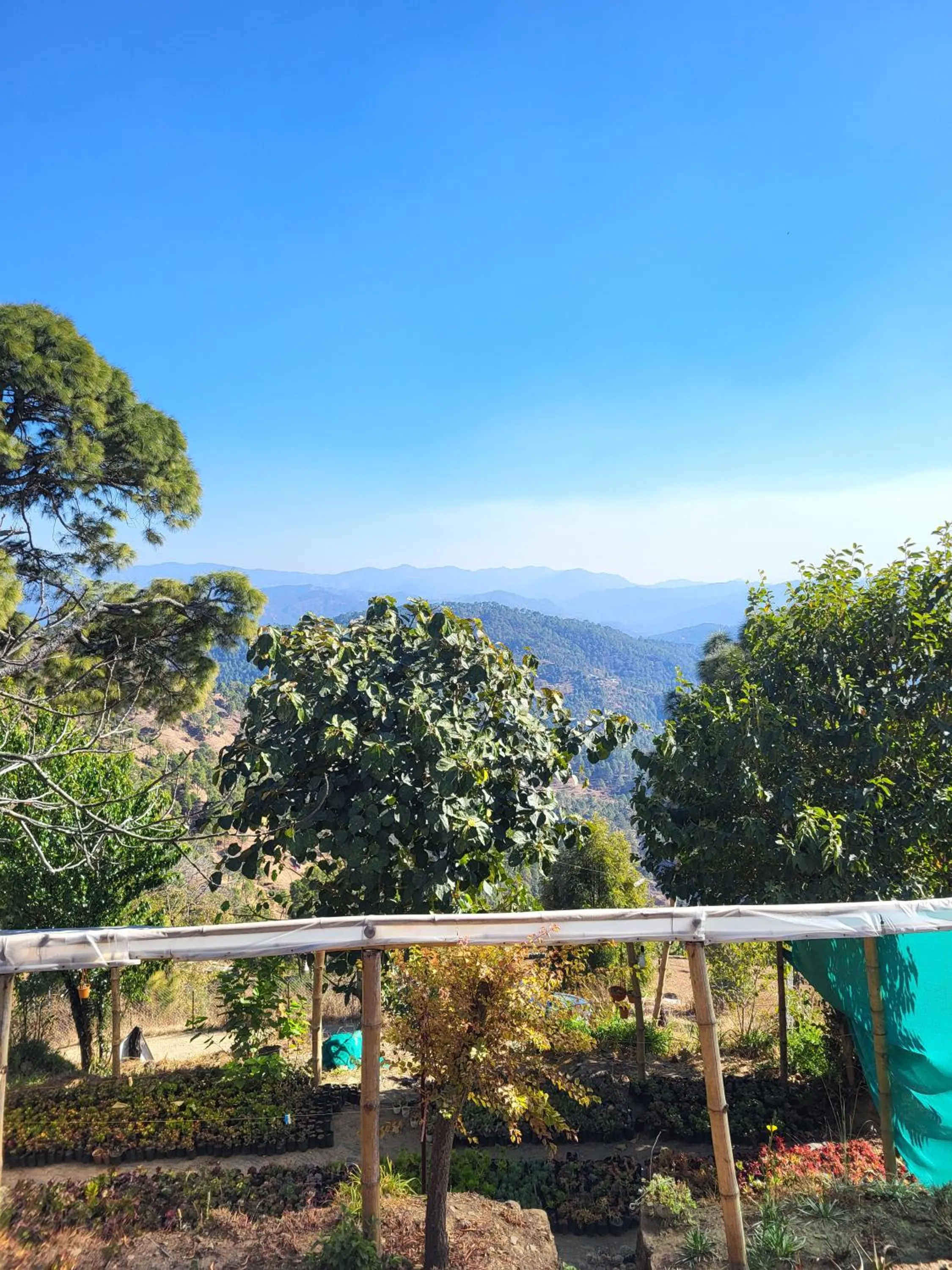 Garden view in Traveller Hive Kasar Devi