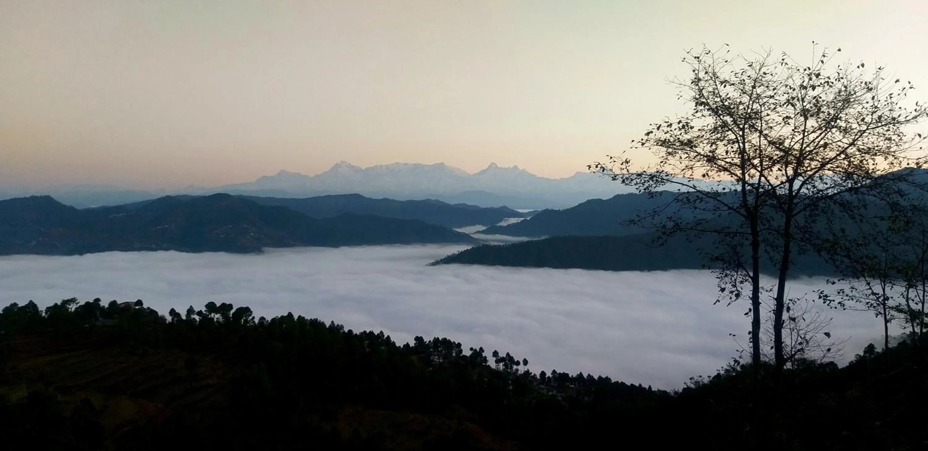 Nearby landmark in Traveller Hive Kasar Devi