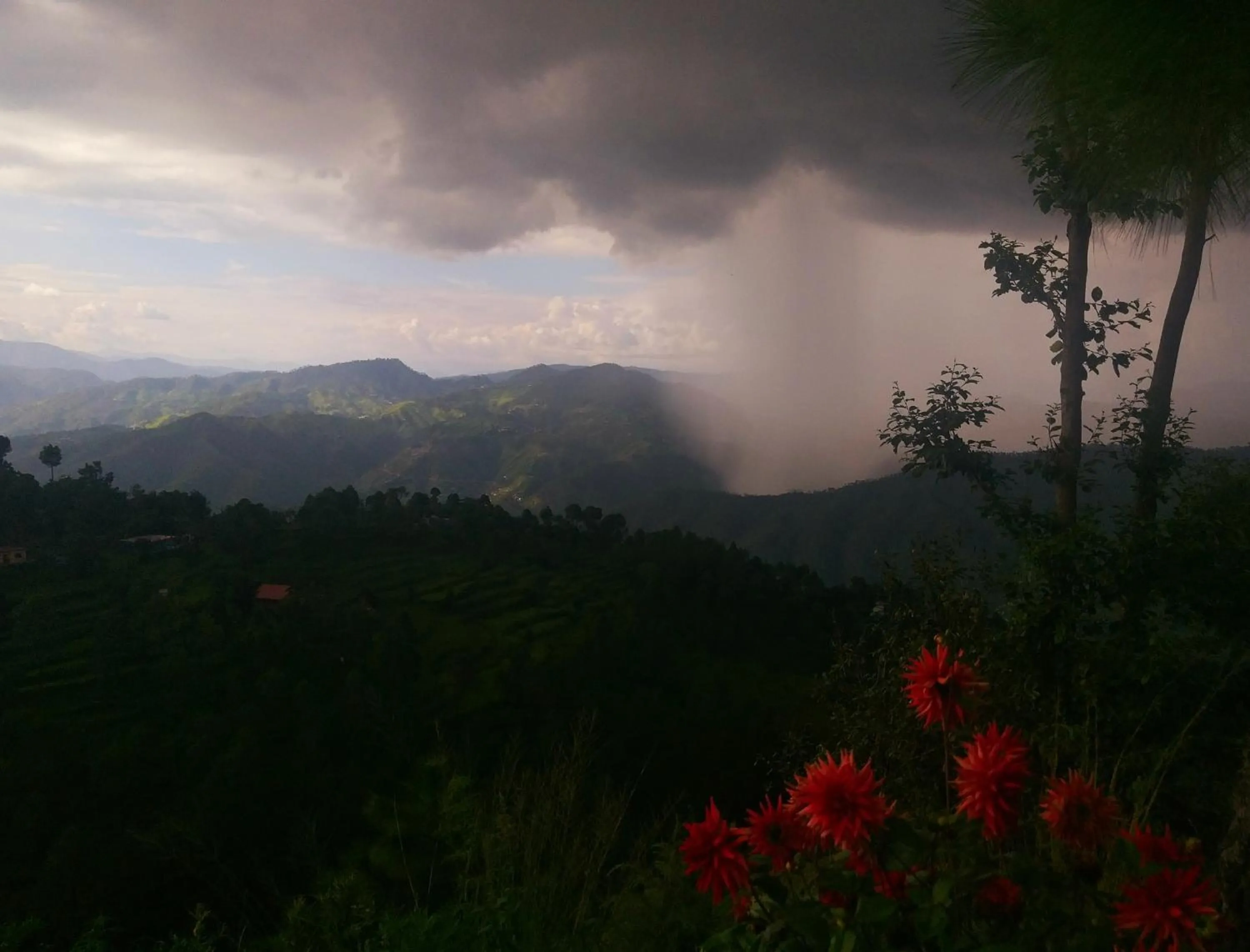 View (from property/room) in Traveller Hive Kasar Devi