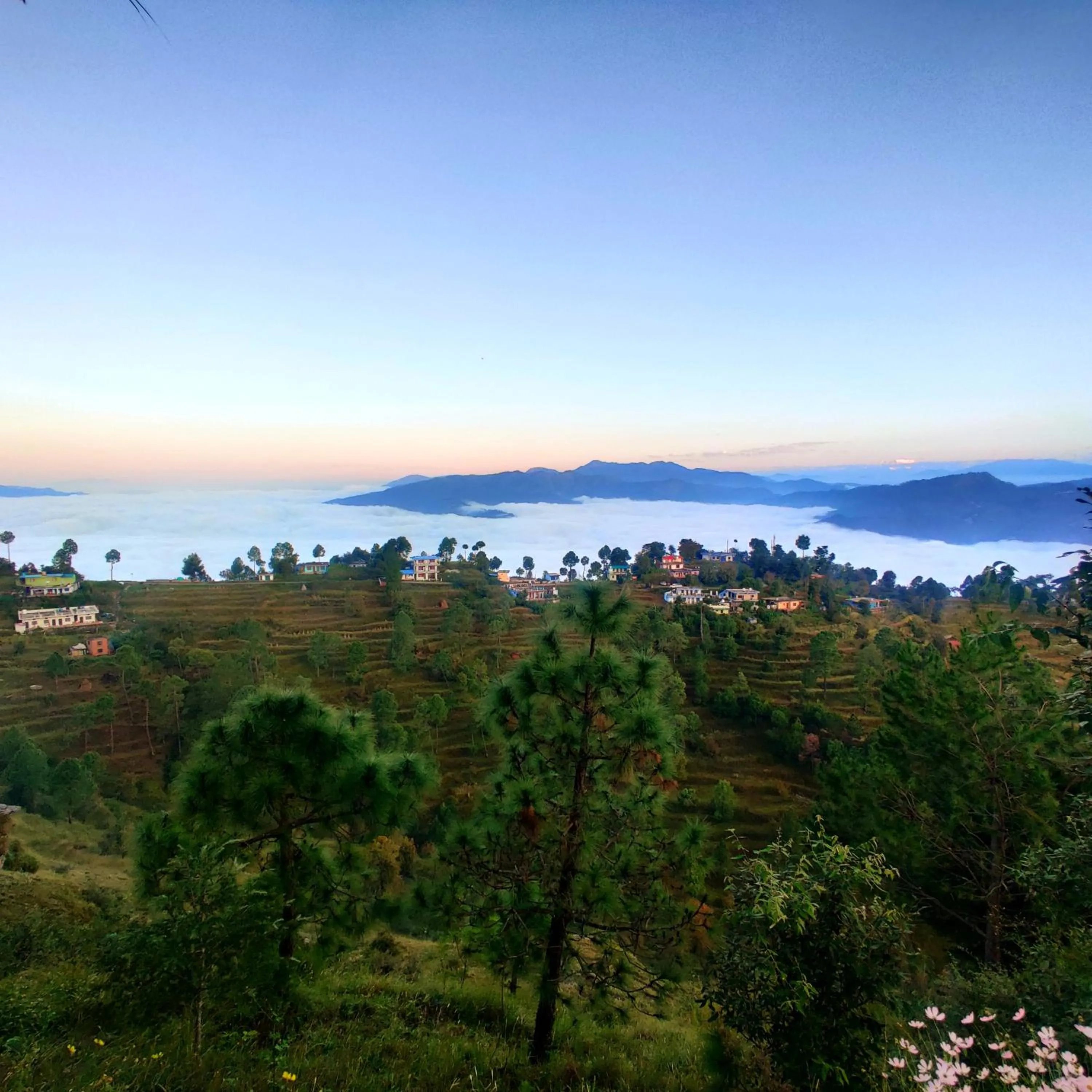 View (from property/room) in Traveller Hive Kasar Devi