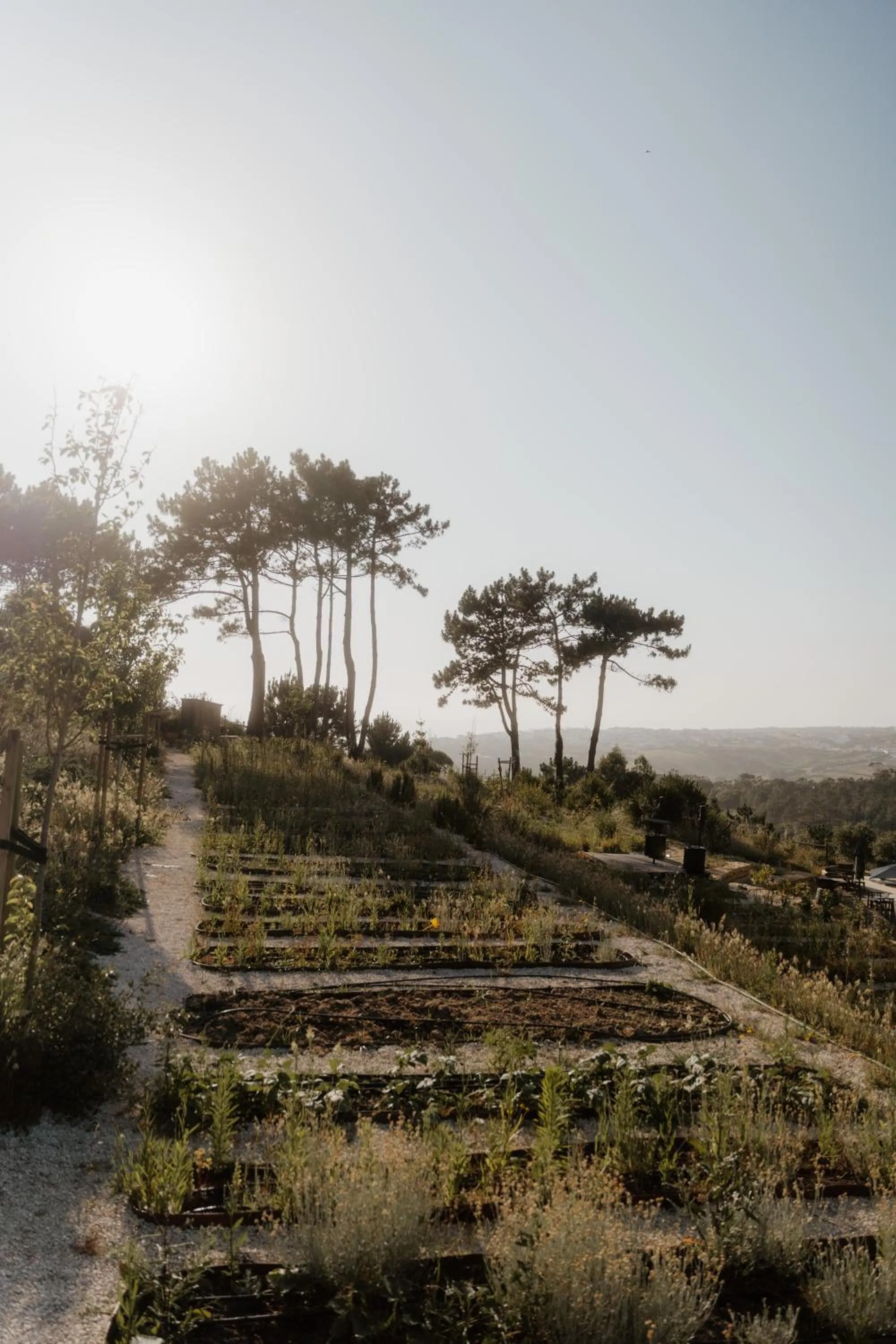 Immerso Hotel, a Member of Design Hotels