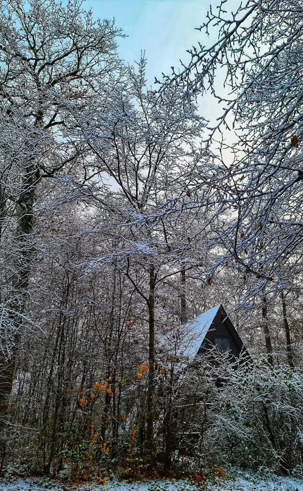 Natural landscape in Chalet Tournesol Durbuy