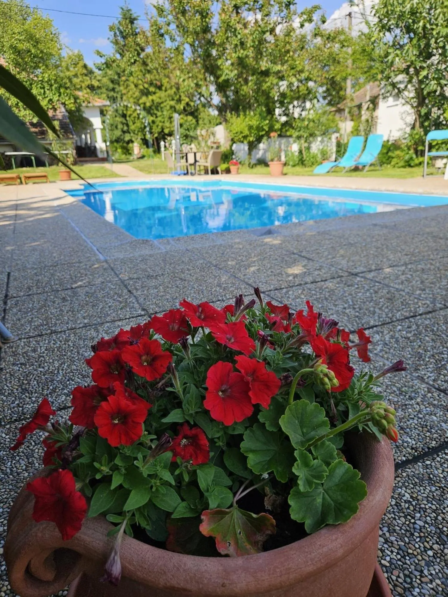 Swimming pool in Penzión Emese