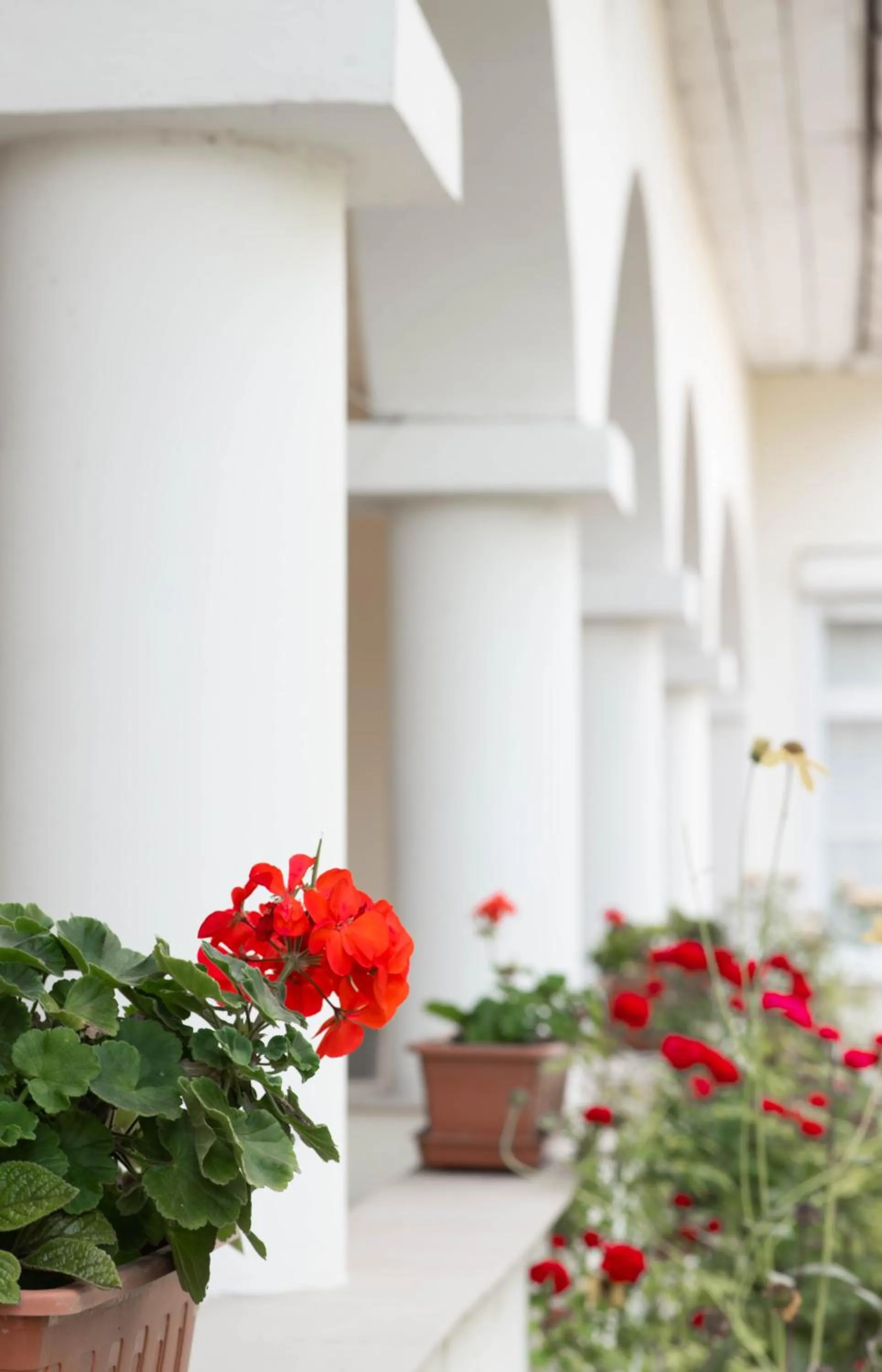 Property building in Penzión Emese