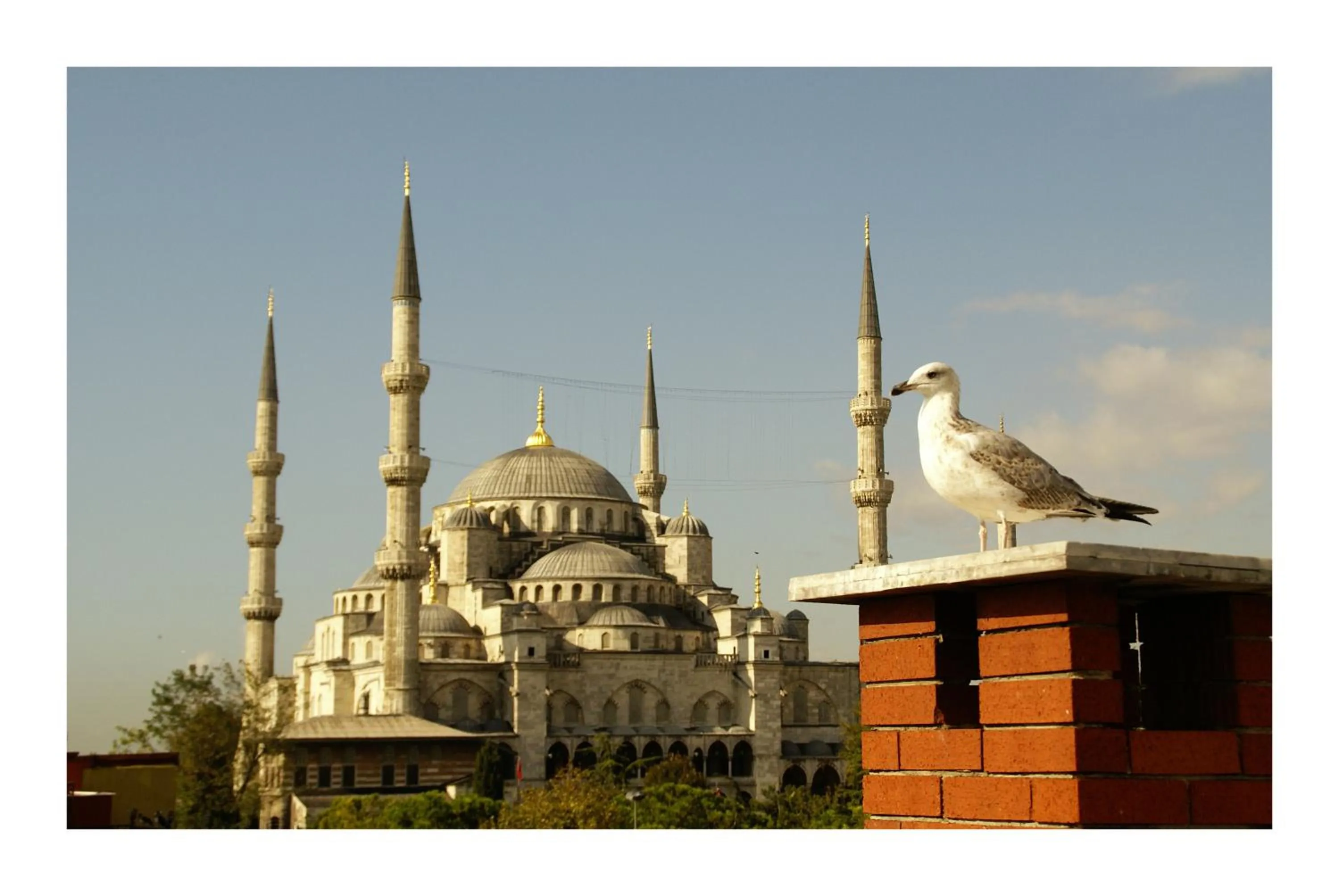 View (from property/room) in Hotel Uyan-Special Category