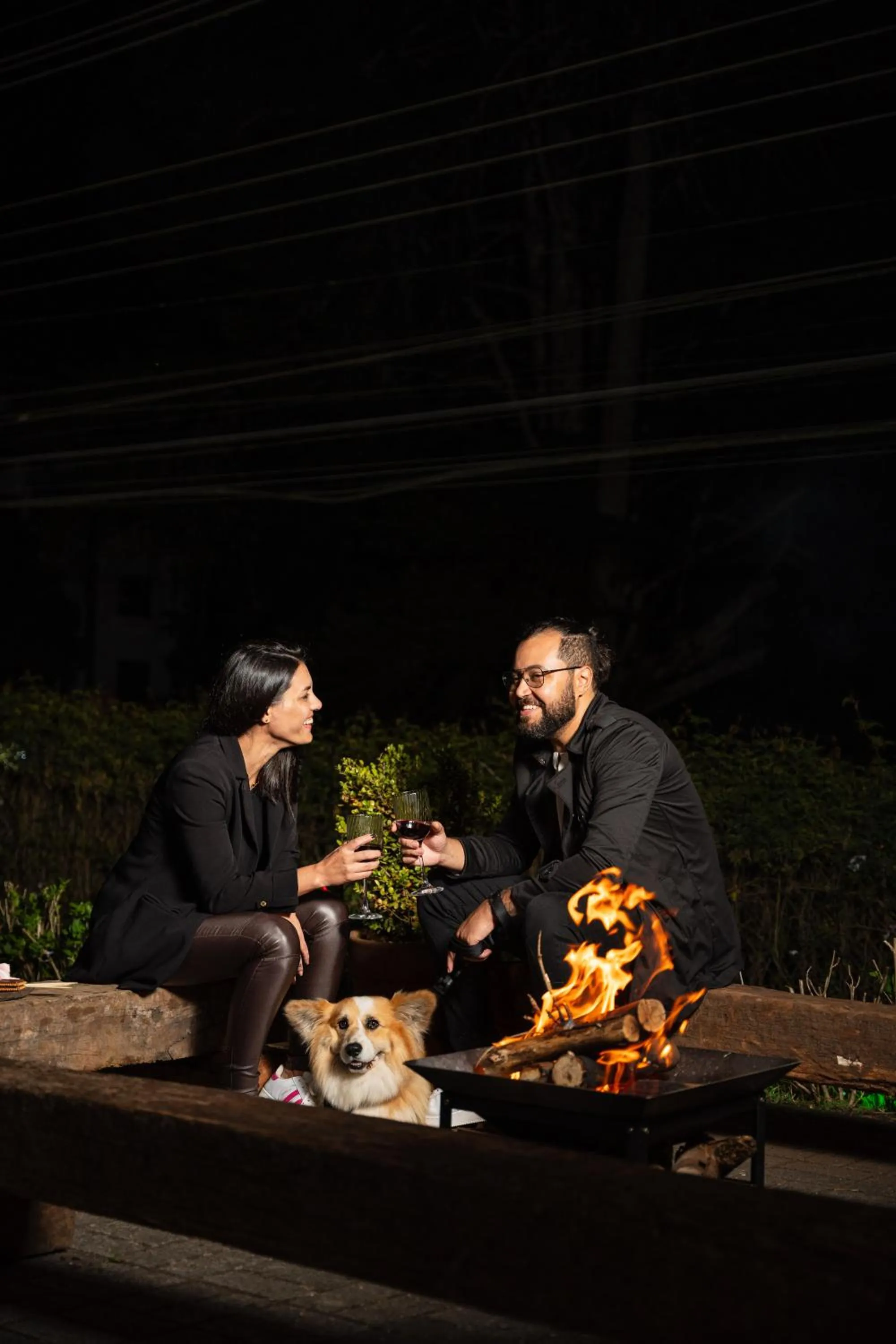 Pets in Castelo Piazzale by Concavus