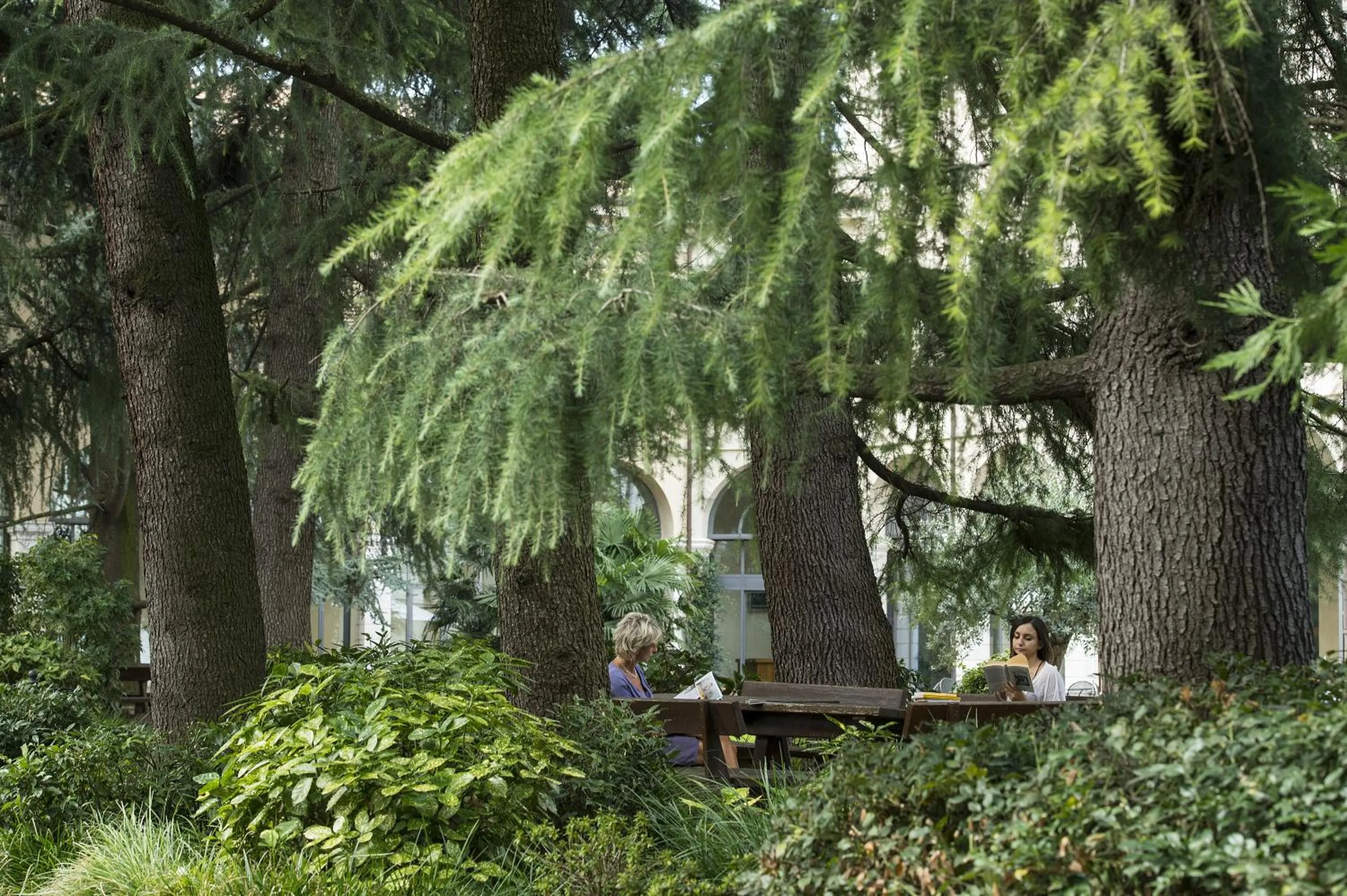 Garden in Centro Paolo VI