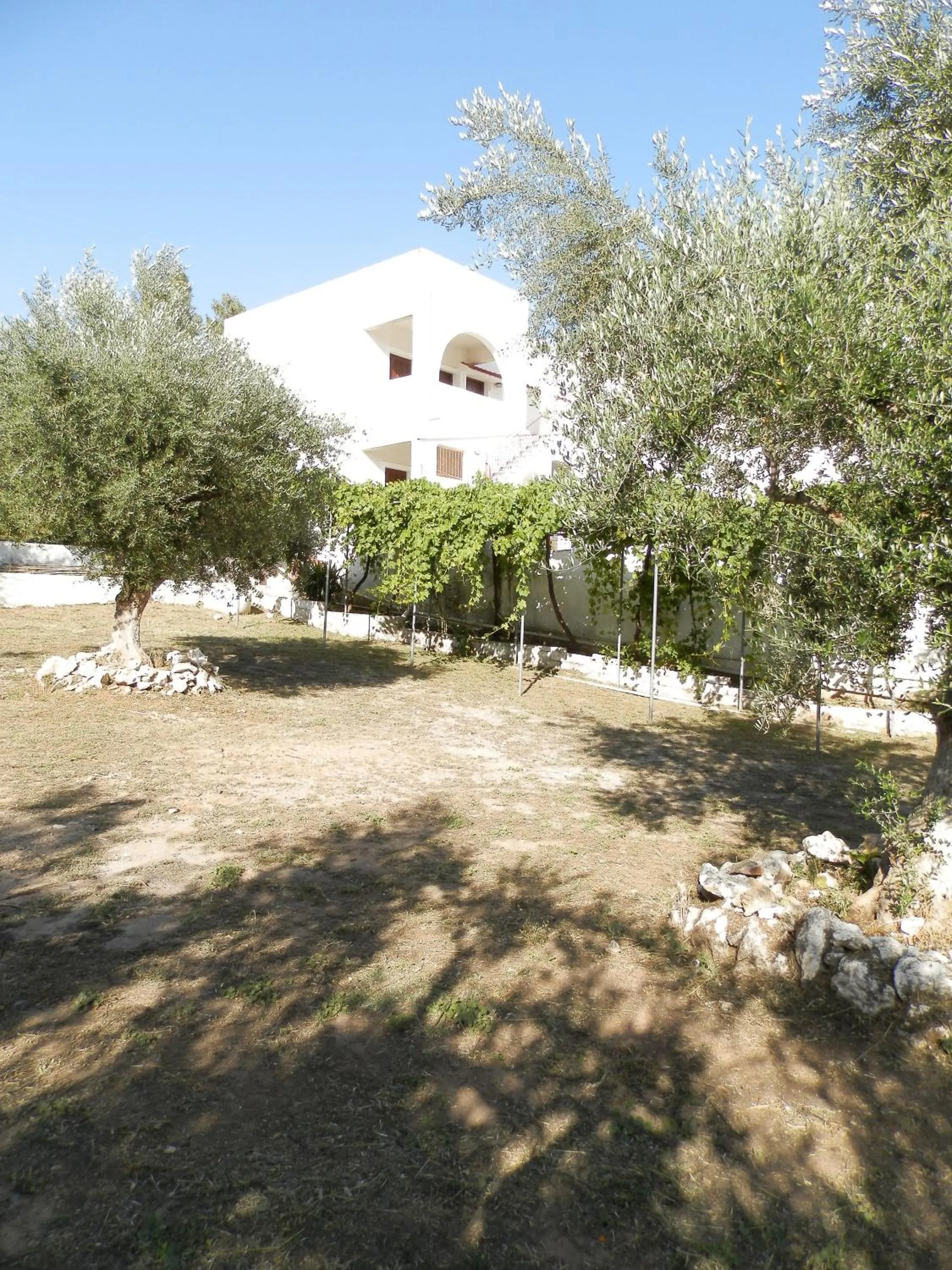 Garden in Aeolos Hotel Apartments